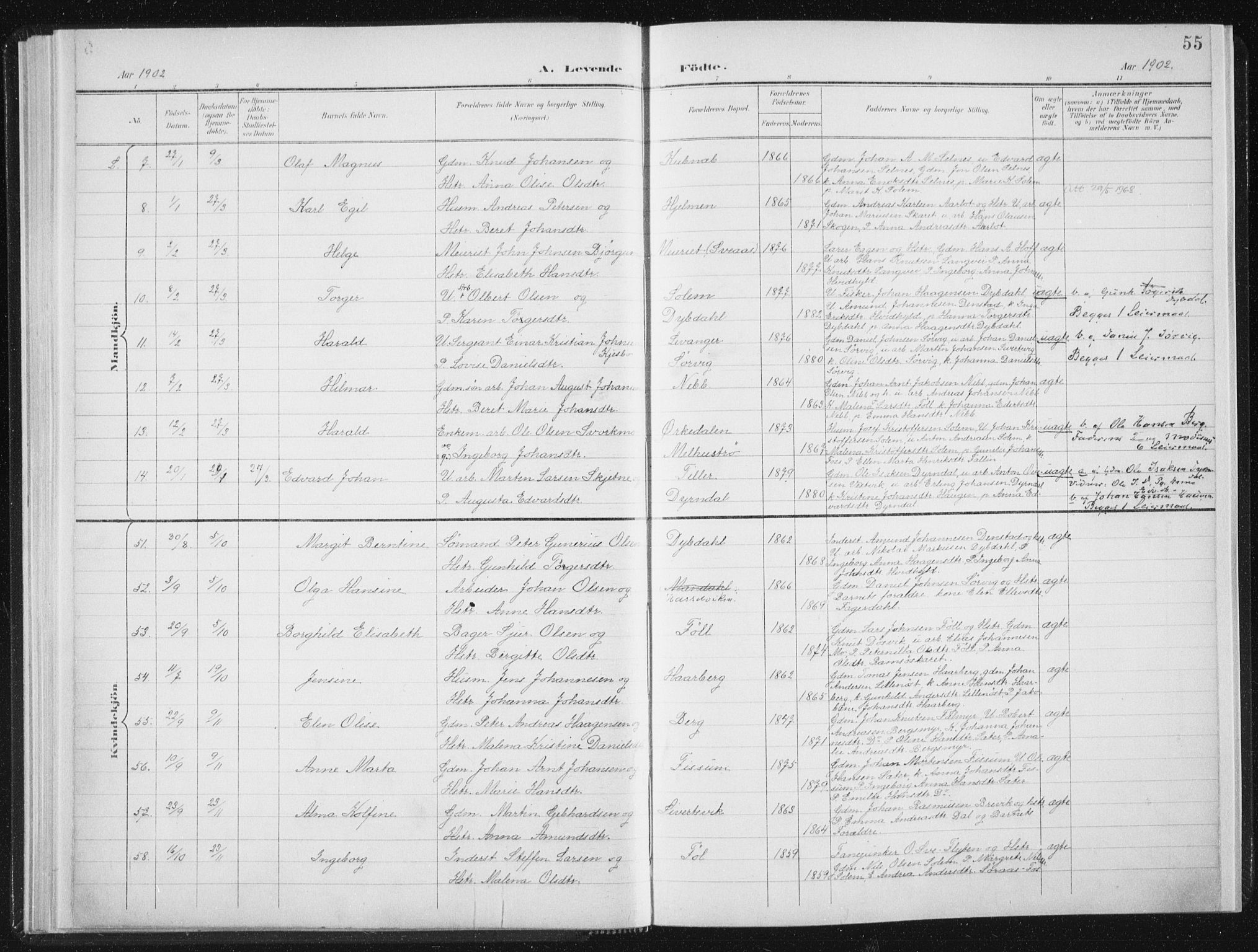 Ministerialprotokoller, klokkerbøker og fødselsregistre - Sør-Trøndelag, AV/SAT-A-1456/647/L0635: Parish register (official) no. 647A02, 1896-1911, p. 55