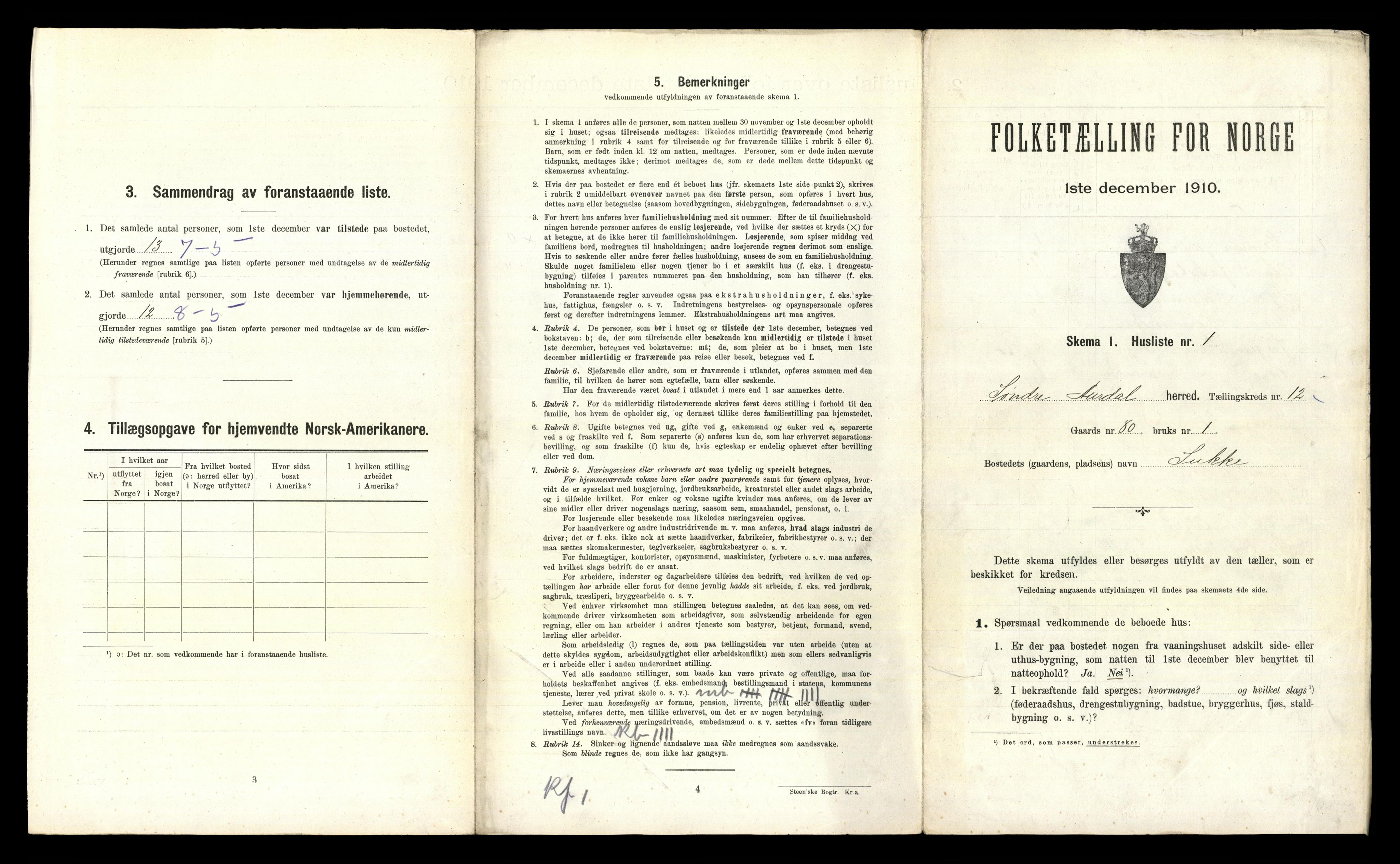 RA, 1910 census for Sør-Aurdal, 1910, p. 1197