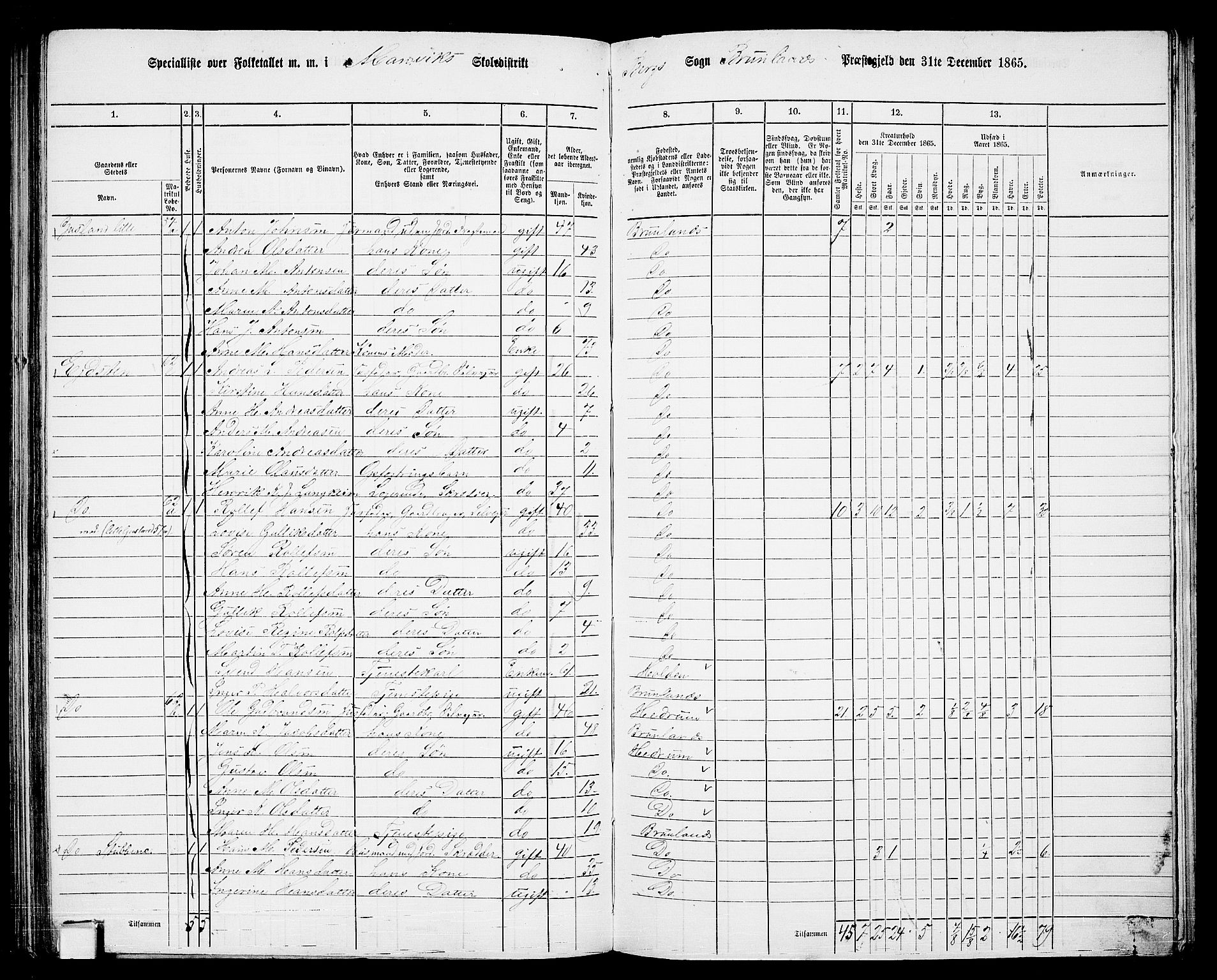 RA, 1865 census for Brunlanes, 1865, p. 133