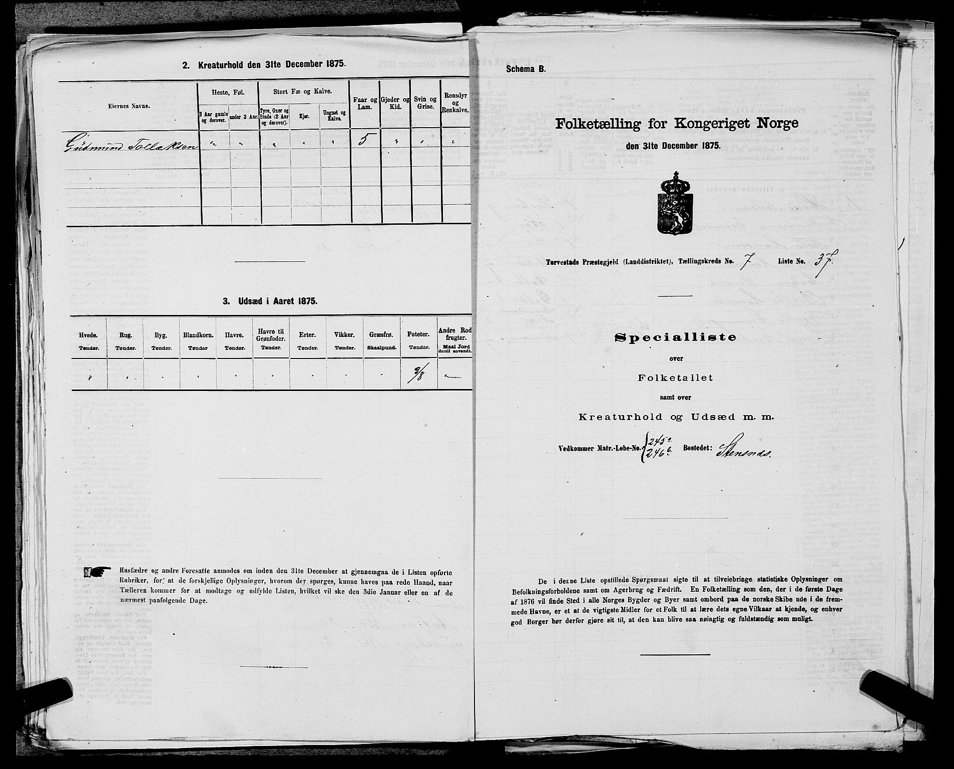 SAST, 1875 census for 1152L Torvastad/Torvastad, Skåre og Utsira, 1875, p. 974