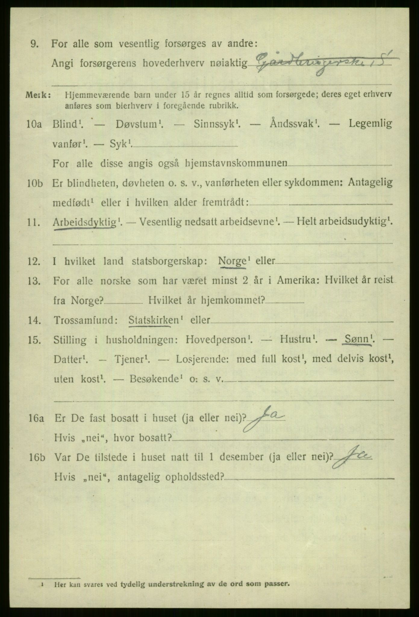 SAB, 1920 census for Voss, 1920, p. 3956