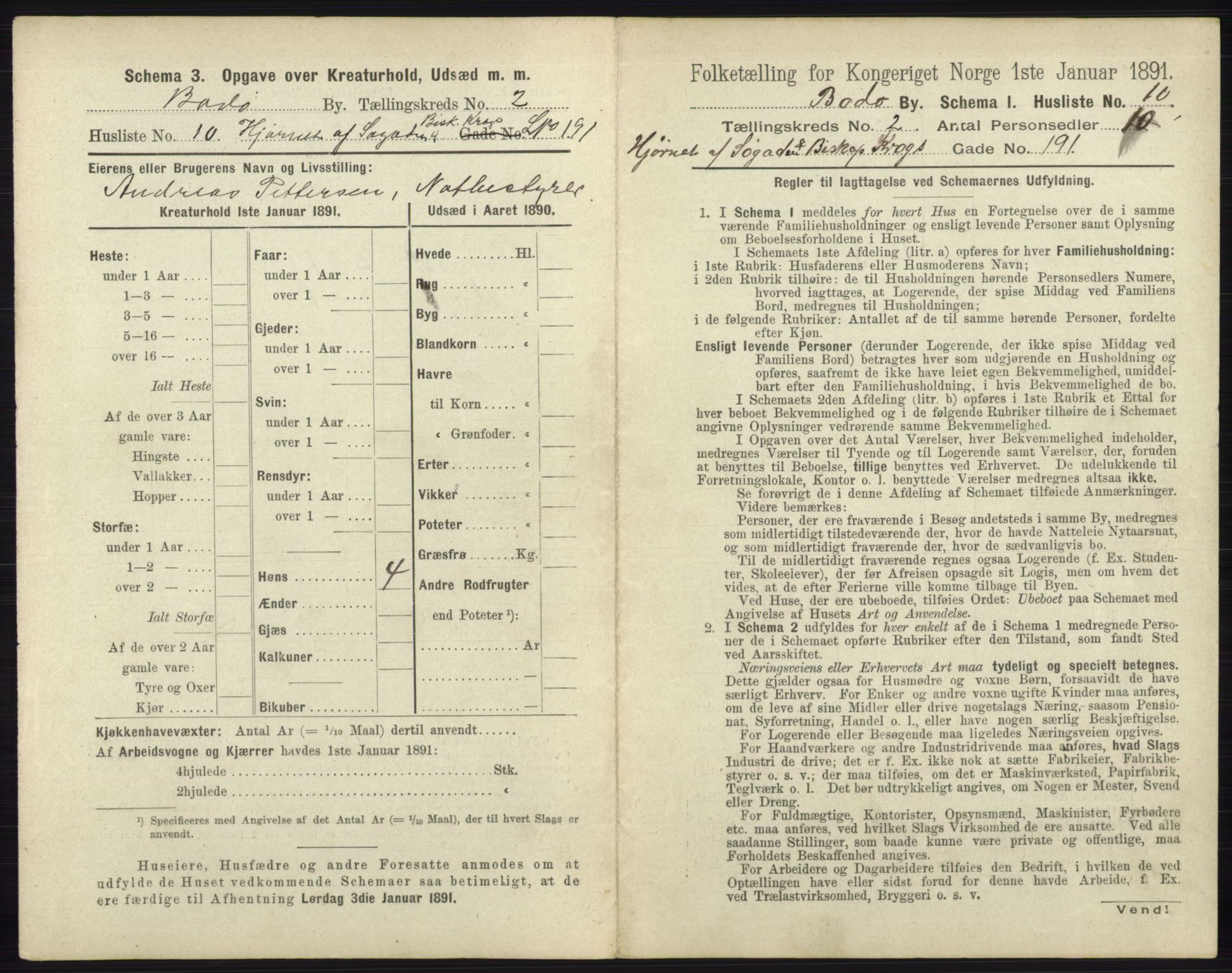 RA, 1891 census for 1804 Bodø, 1891, p. 868