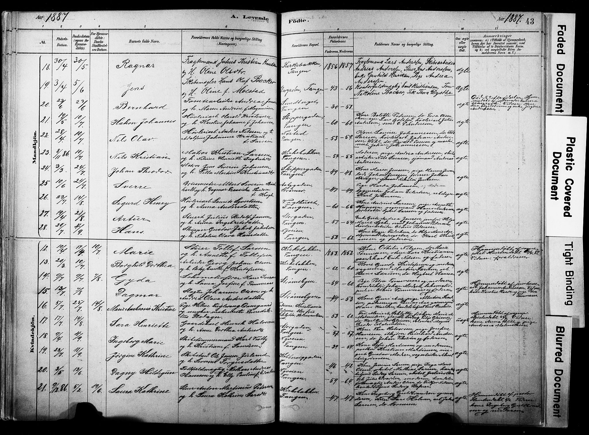 Strømsø kirkebøker, AV/SAKO-A-246/F/Fb/L0006: Parish register (official) no. II 6, 1879-1910, p. 43