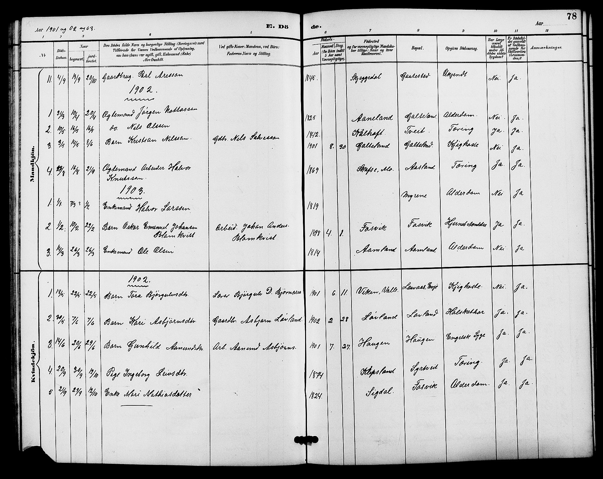 Evje sokneprestkontor, AV/SAK-1111-0008/F/Fb/Fba/L0003: Parish register (copy) no. B 3, 1888-1903, p. 78