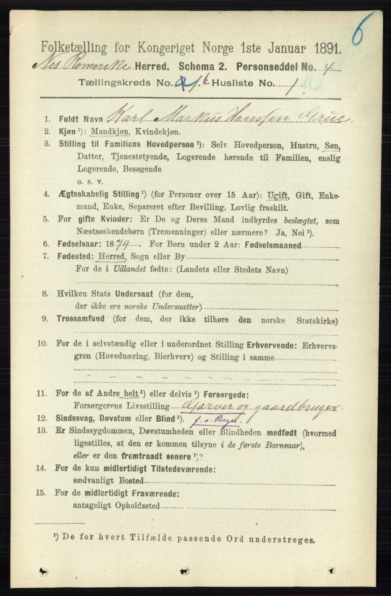 RA, 1891 census for 0236 Nes, 1891, p. 713