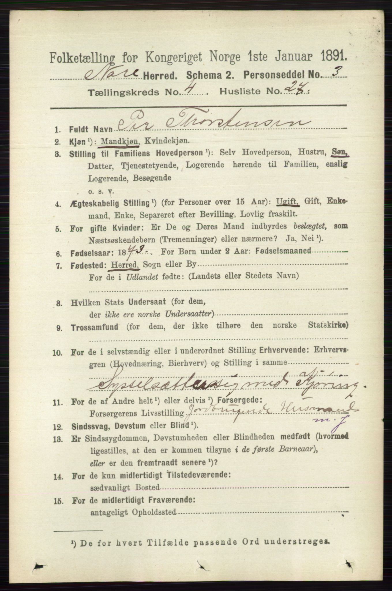RA, 1891 census for 0633 Nore, 1891, p. 1421