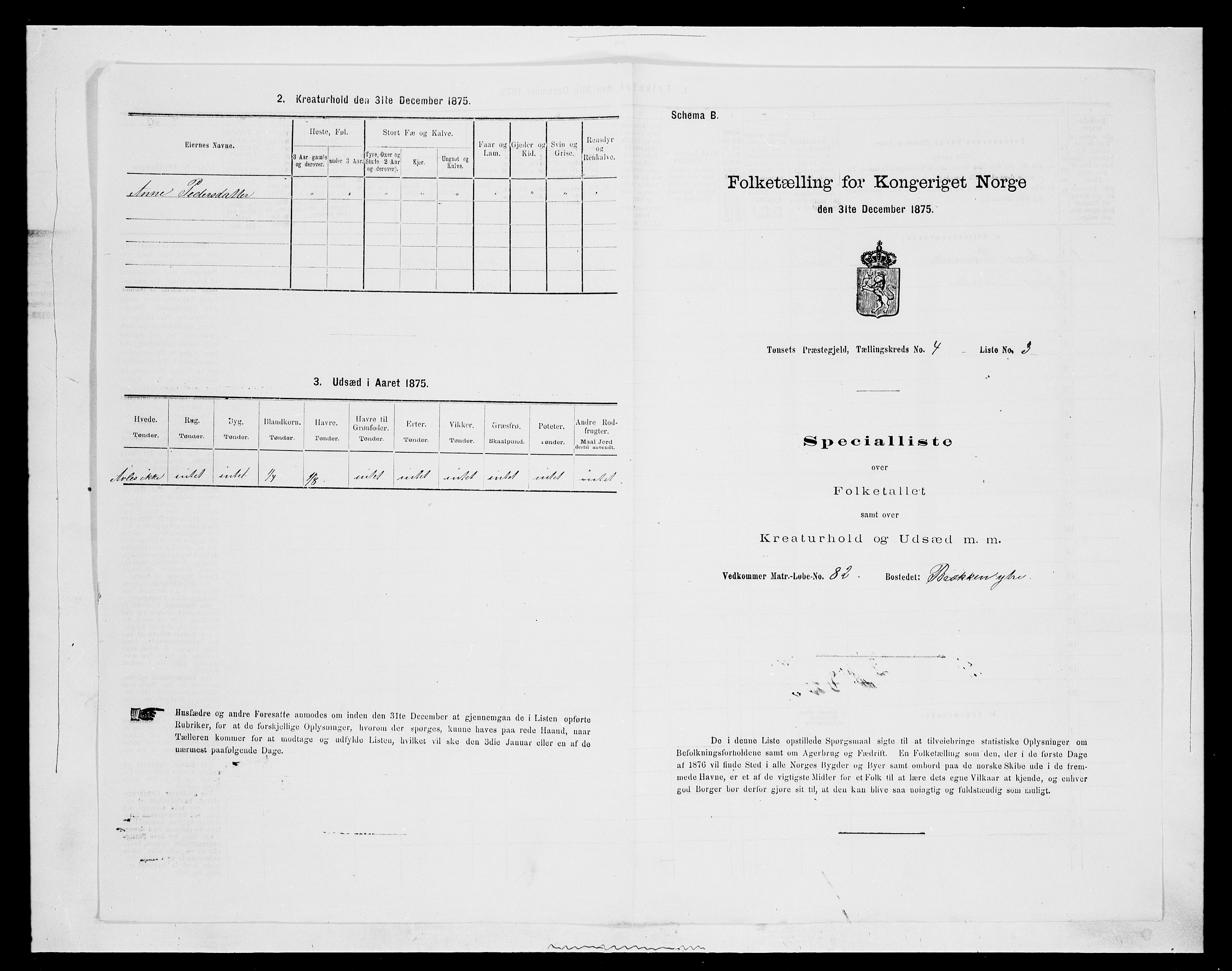 SAH, 1875 census for 0437P Tynset, 1875, p. 433