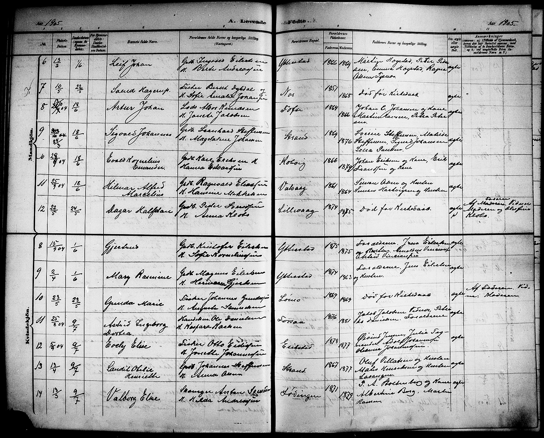 Ministerialprotokoller, klokkerbøker og fødselsregistre - Nordland, AV/SAT-A-1459/872/L1048: Parish register (copy) no. 872C04, 1898-1919