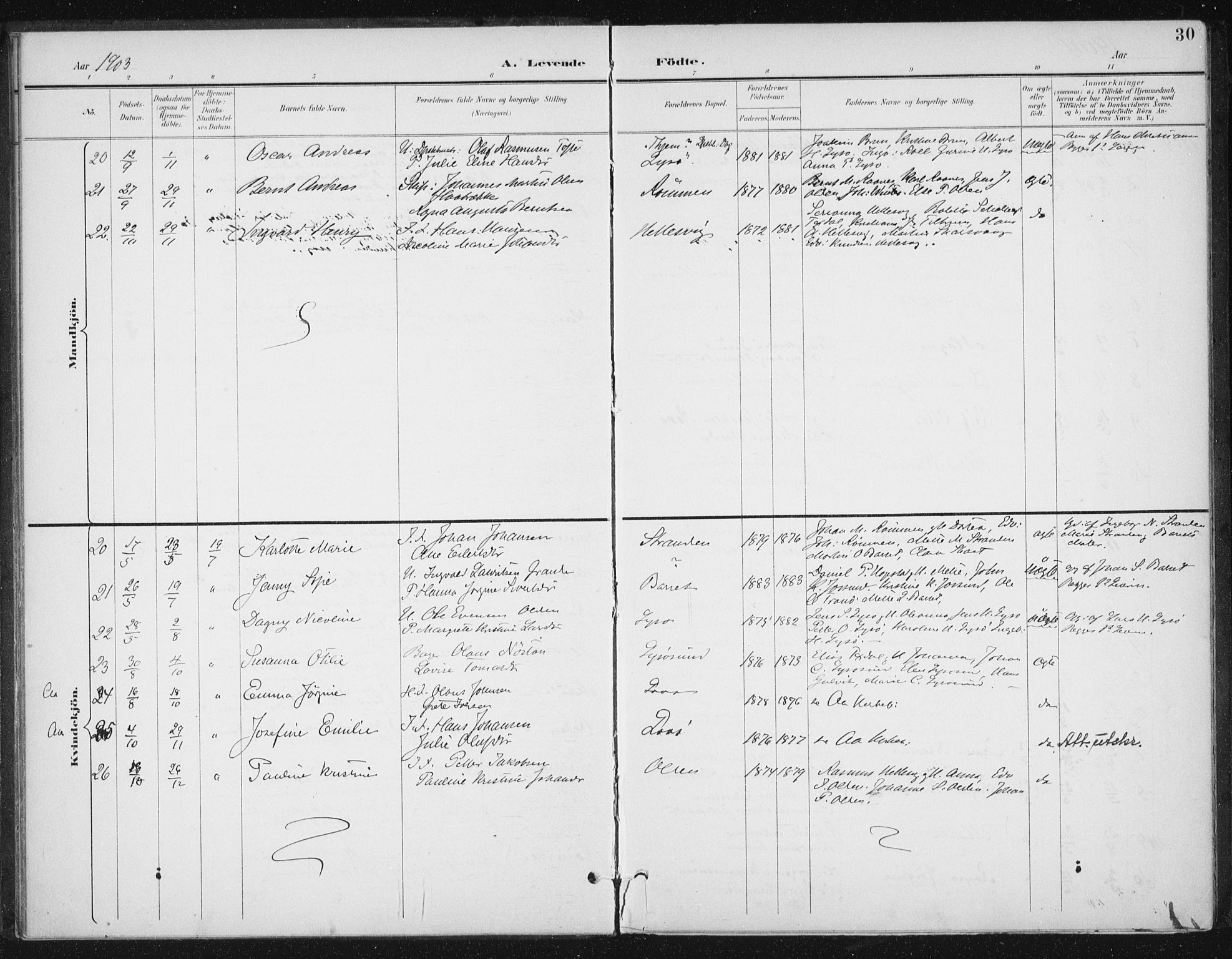 Ministerialprotokoller, klokkerbøker og fødselsregistre - Sør-Trøndelag, SAT/A-1456/654/L0664: Parish register (official) no. 654A02, 1895-1907, p. 30