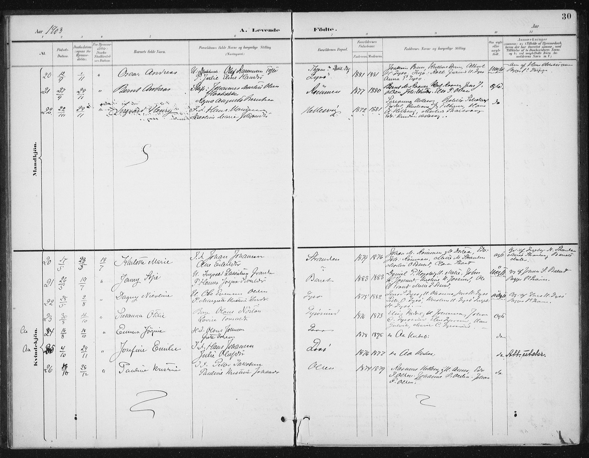 Ministerialprotokoller, klokkerbøker og fødselsregistre - Sør-Trøndelag, AV/SAT-A-1456/654/L0664: Parish register (official) no. 654A02, 1895-1907, p. 30