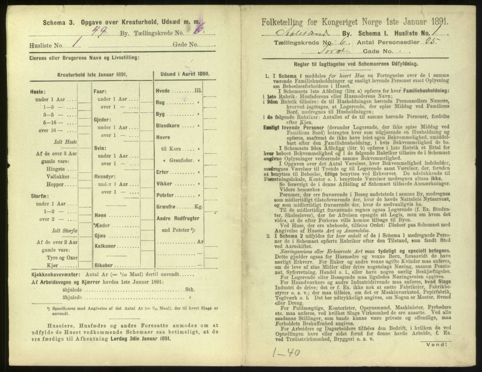 RA, 1891 census for 1501 Ålesund, 1891, p. 462