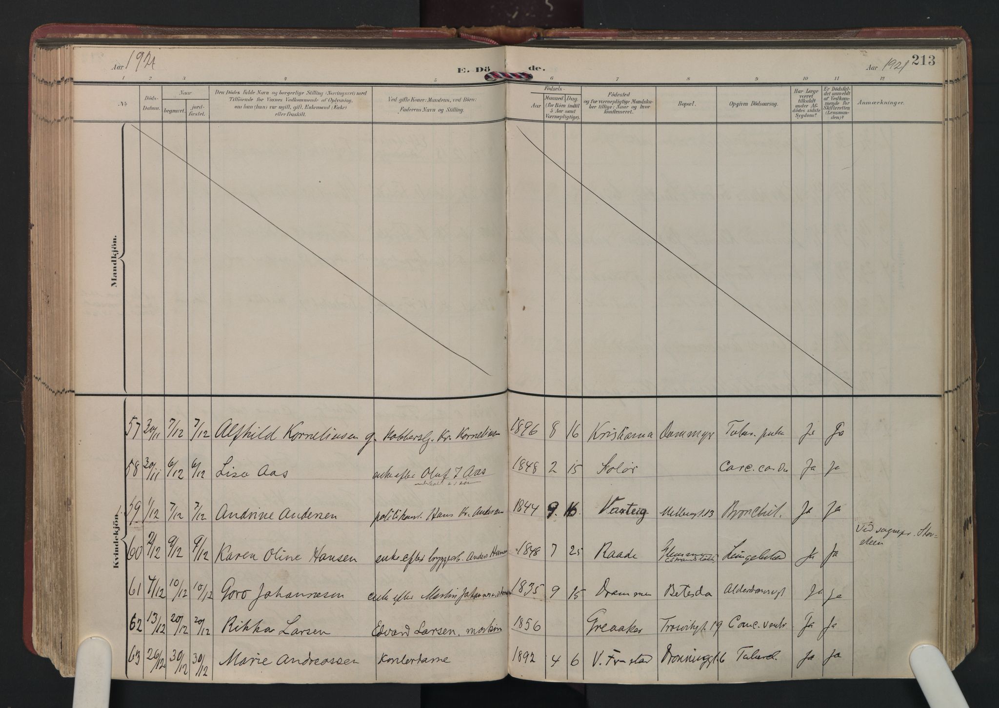 Fredrikstad domkirkes prestekontor Kirkebøker, AV/SAO-A-10906/F/Fa/L0008: Parish register (official) no. I 8, 1902-1936, p. 213