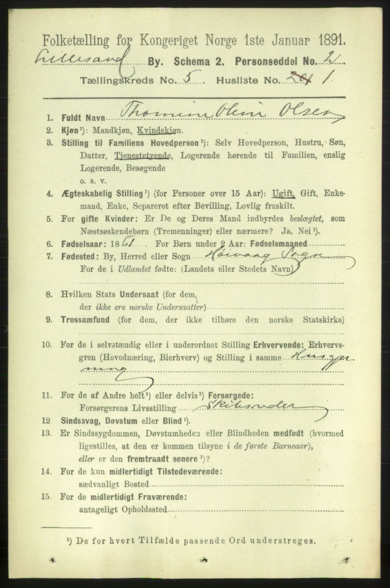 RA, 1891 census for 0905 Lillesand, 1891, p. 1382