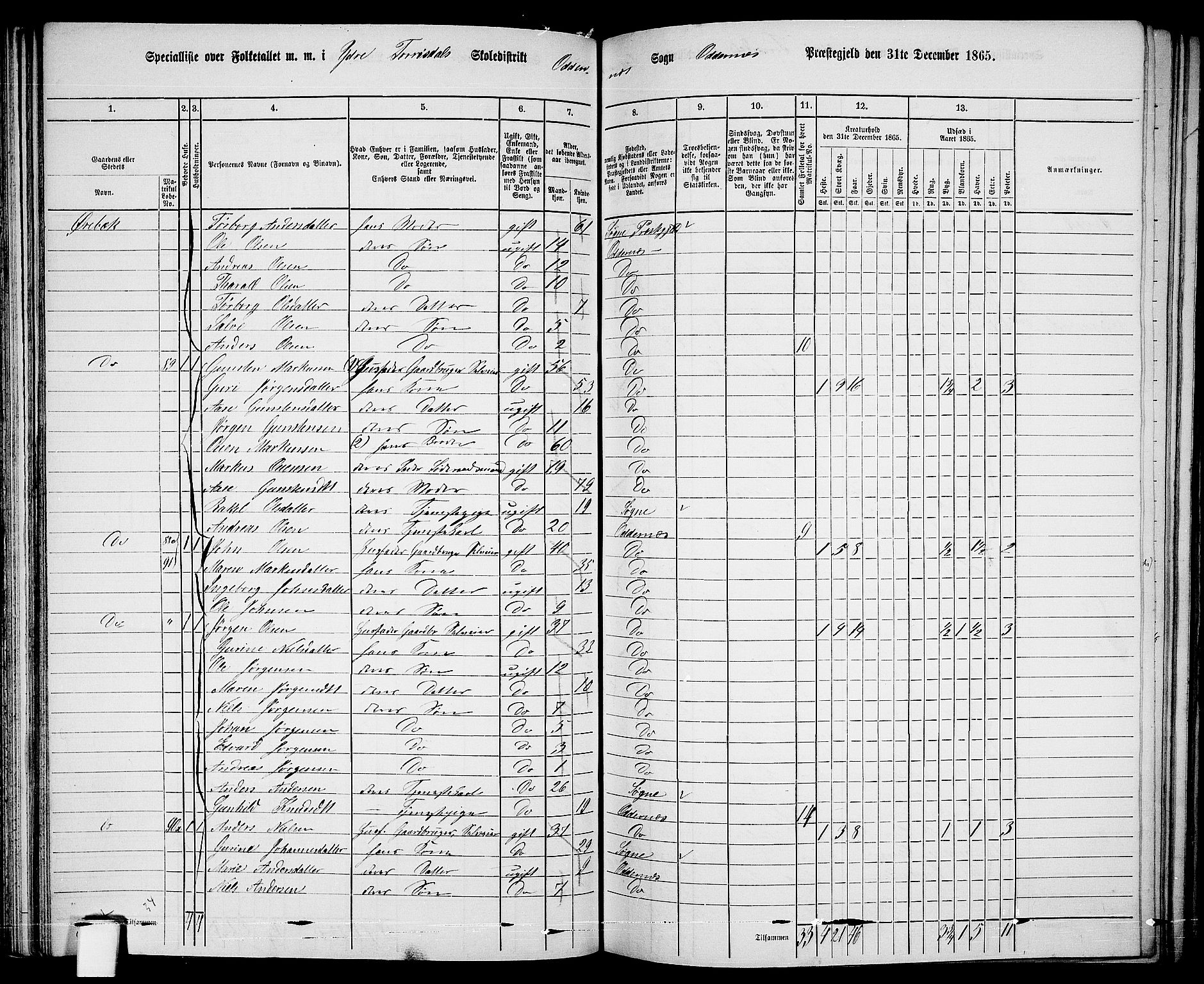 RA, 1865 census for Oddernes, 1865, p. 61