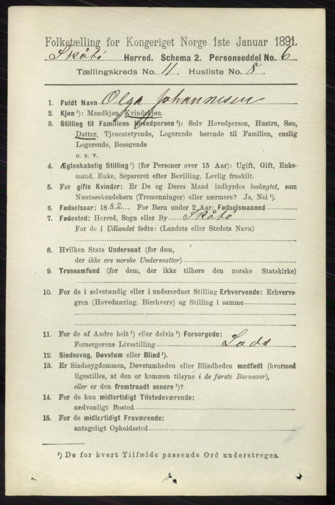 RA, 1891 census for 0815 Skåtøy, 1891, p. 4271