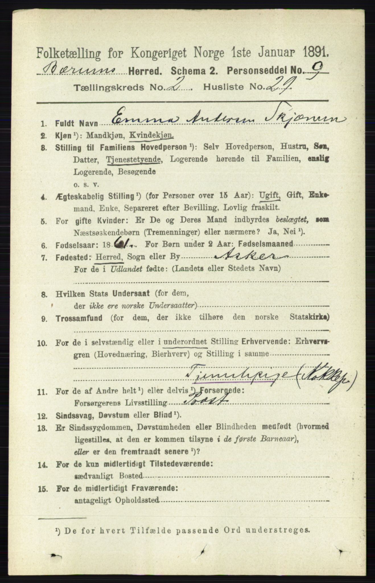 RA, 1891 census for 0219 Bærum, 1891, p. 1293