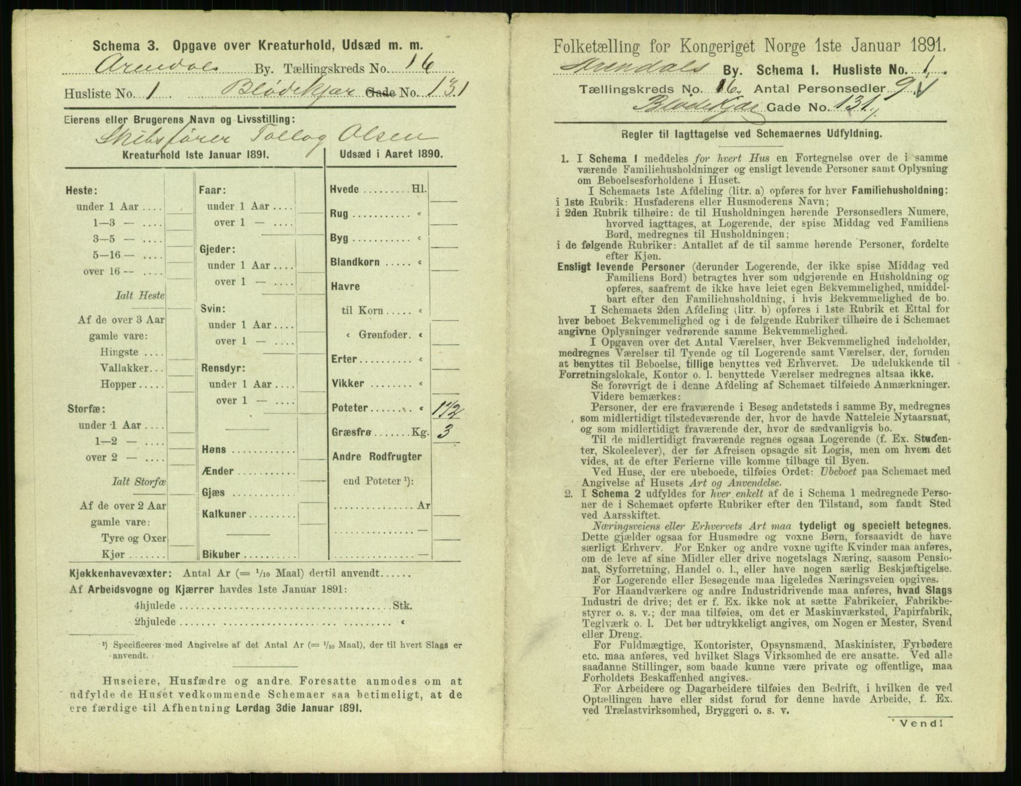 RA, 1891 census for 0903 Arendal, 1891, p. 866