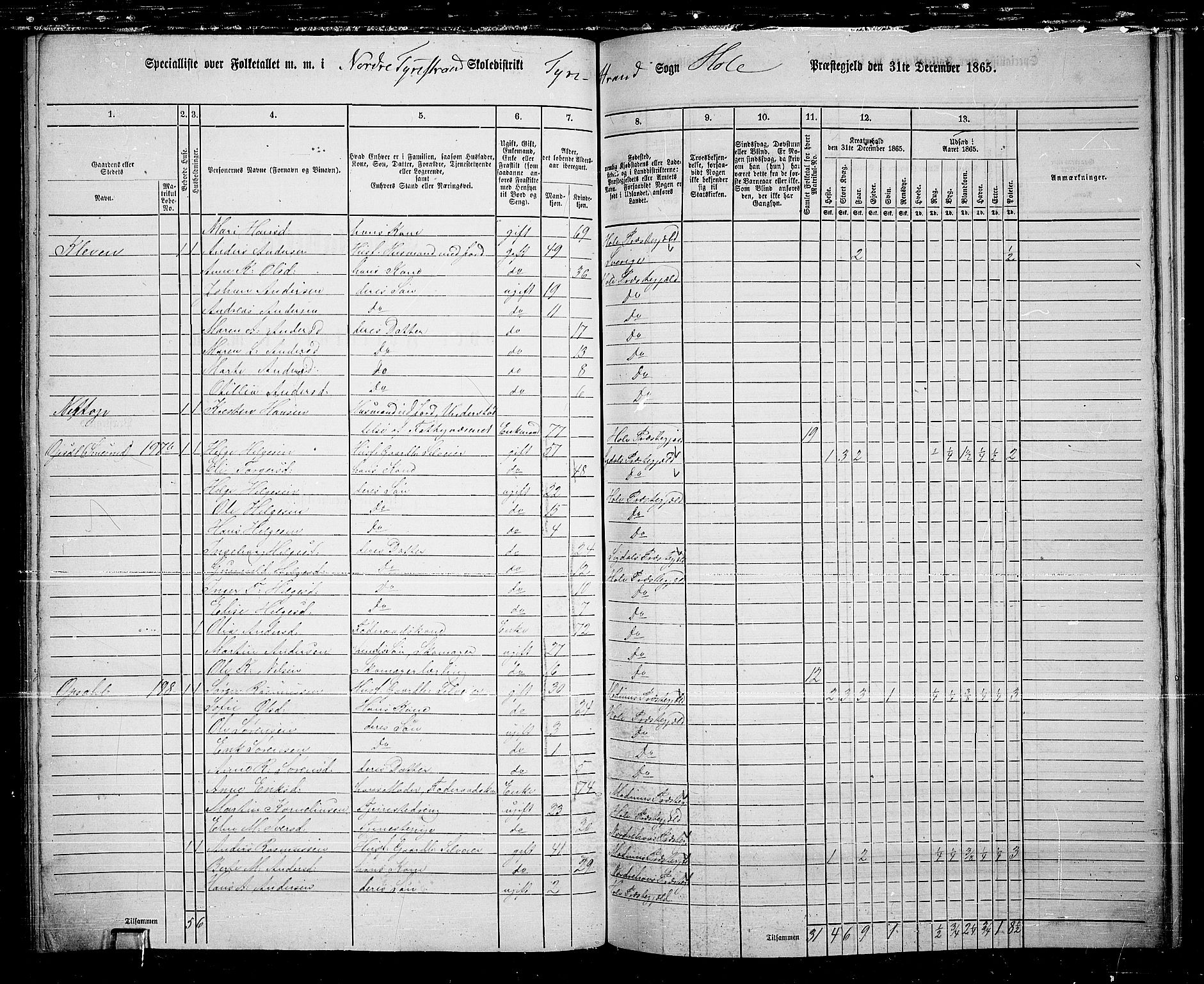 RA, 1865 census for Hole, 1865, p. 135