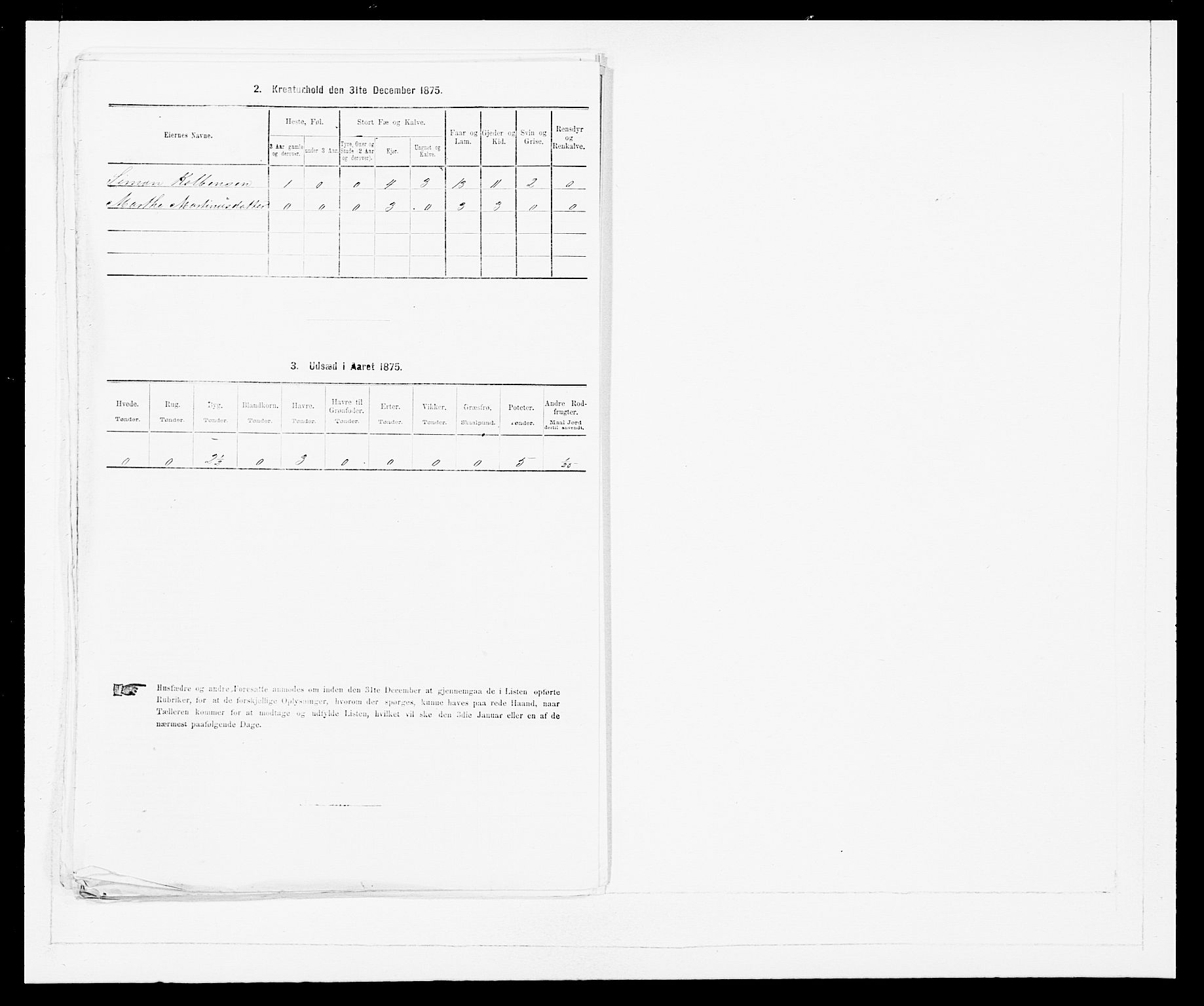 SAB, 1875 Census for 1448P Stryn, 1875, p. 519