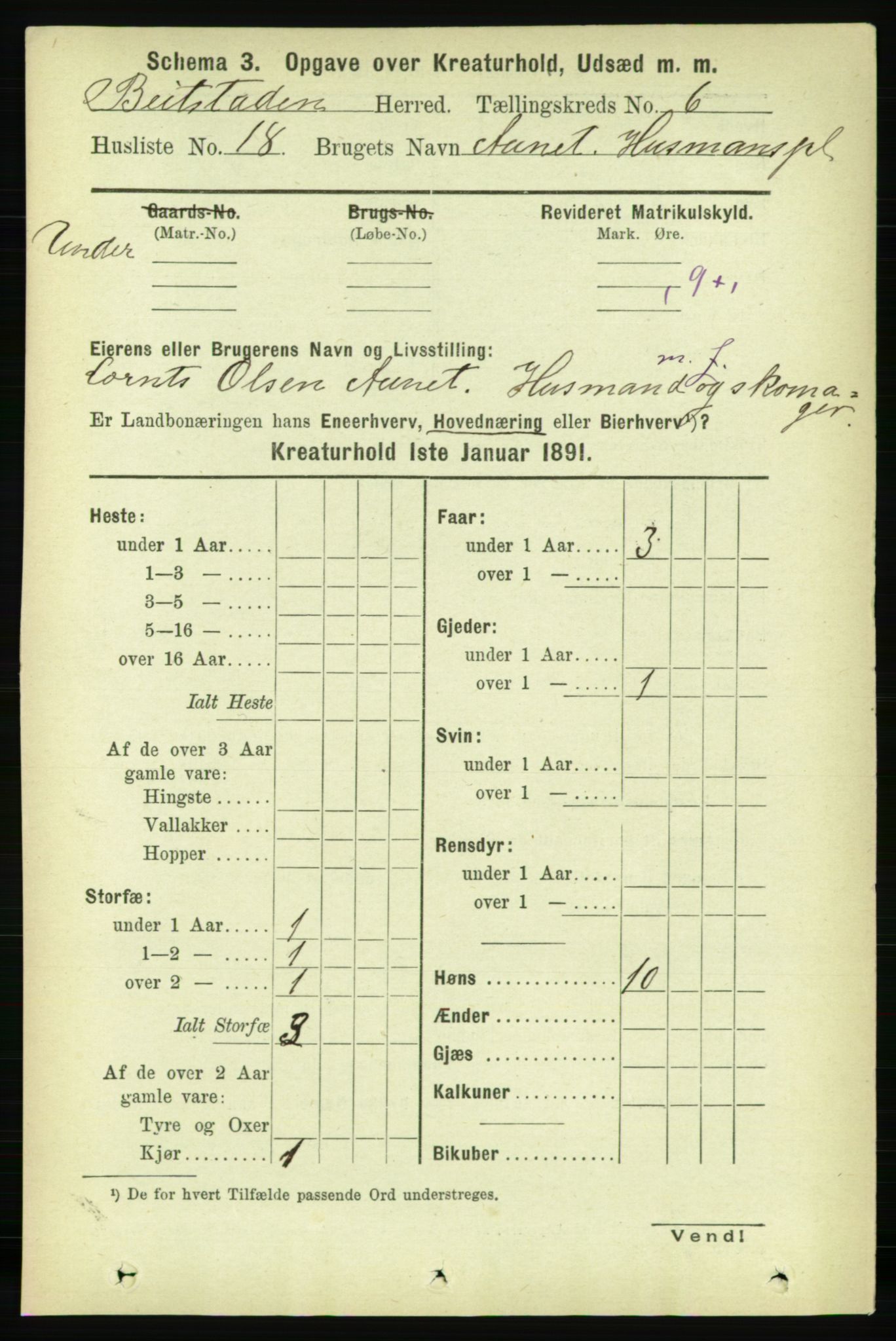 RA, 1891 census for 1727 Beitstad, 1891, p. 5888