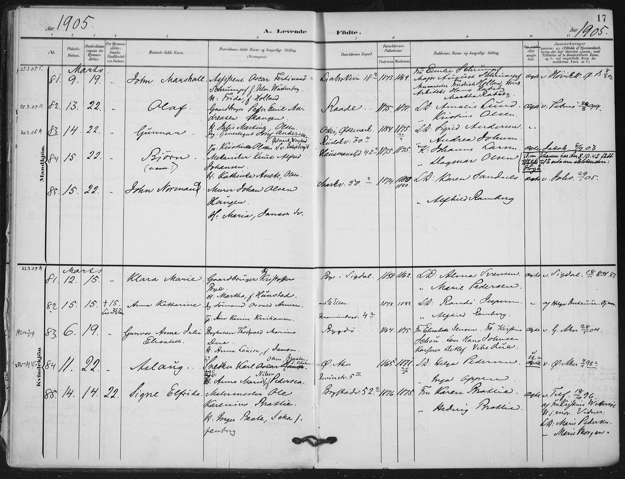 Rikshospitalet prestekontor Kirkebøker, SAO/A-10309b/F/L0013: Parish register (official) no. 13, 1905-1908, p. 17