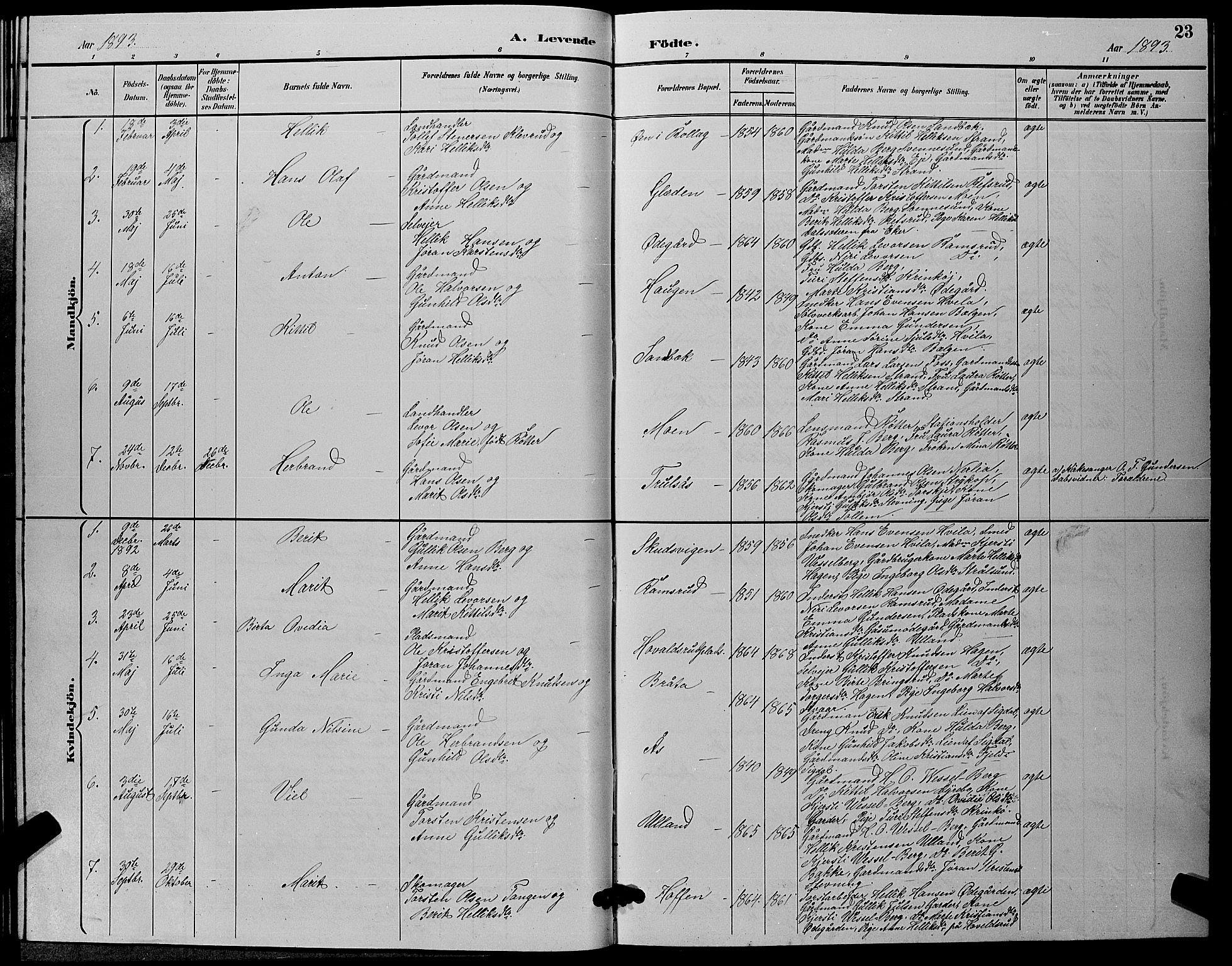 Flesberg kirkebøker, SAKO/A-18/G/Ga/L0004: Parish register (copy) no. I 4 /2, 1890-1898, p. 23