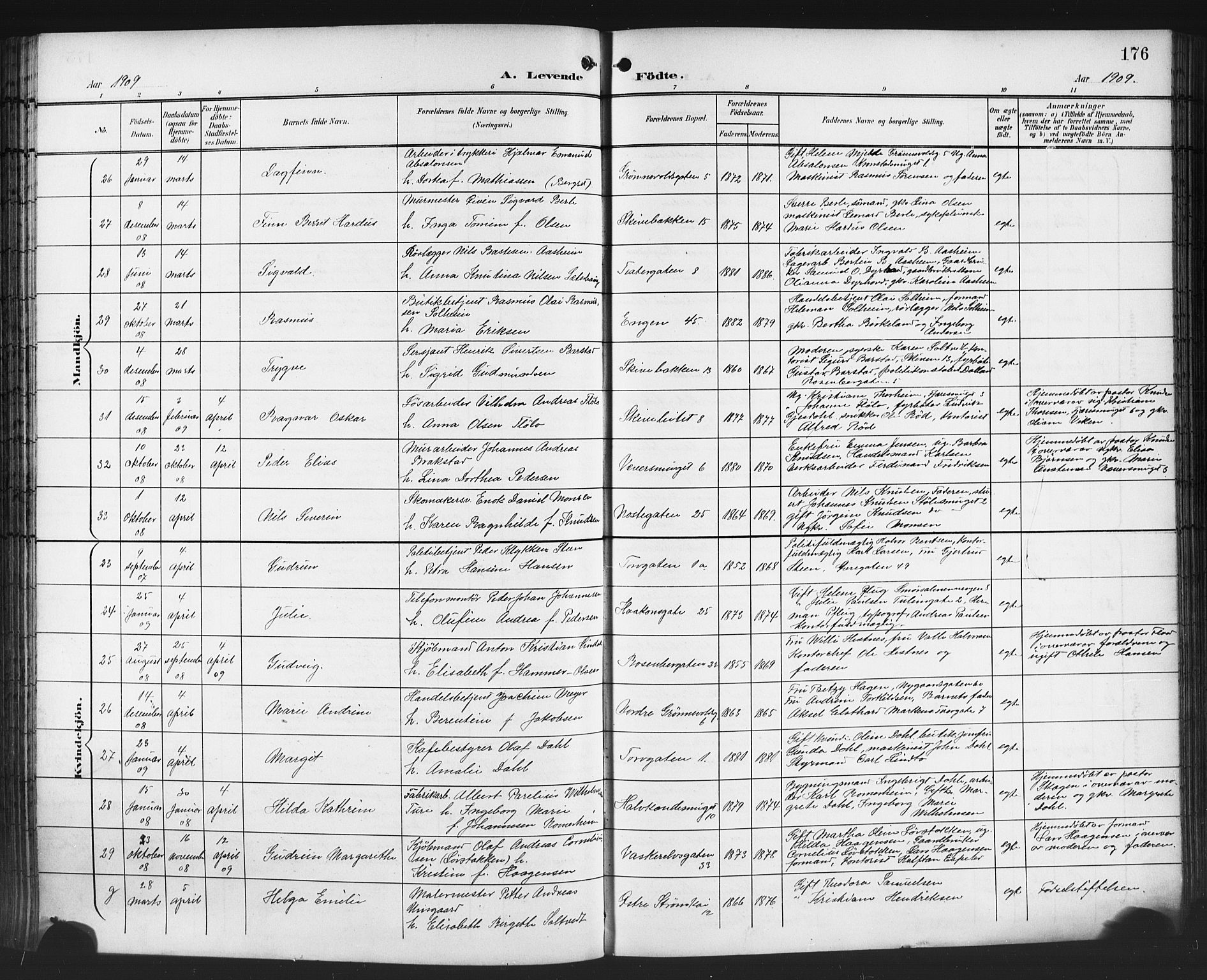 Domkirken sokneprestembete, SAB/A-74801/H/Hab/L0017: Parish register (copy) no. B 10, 1900-1915, p. 176