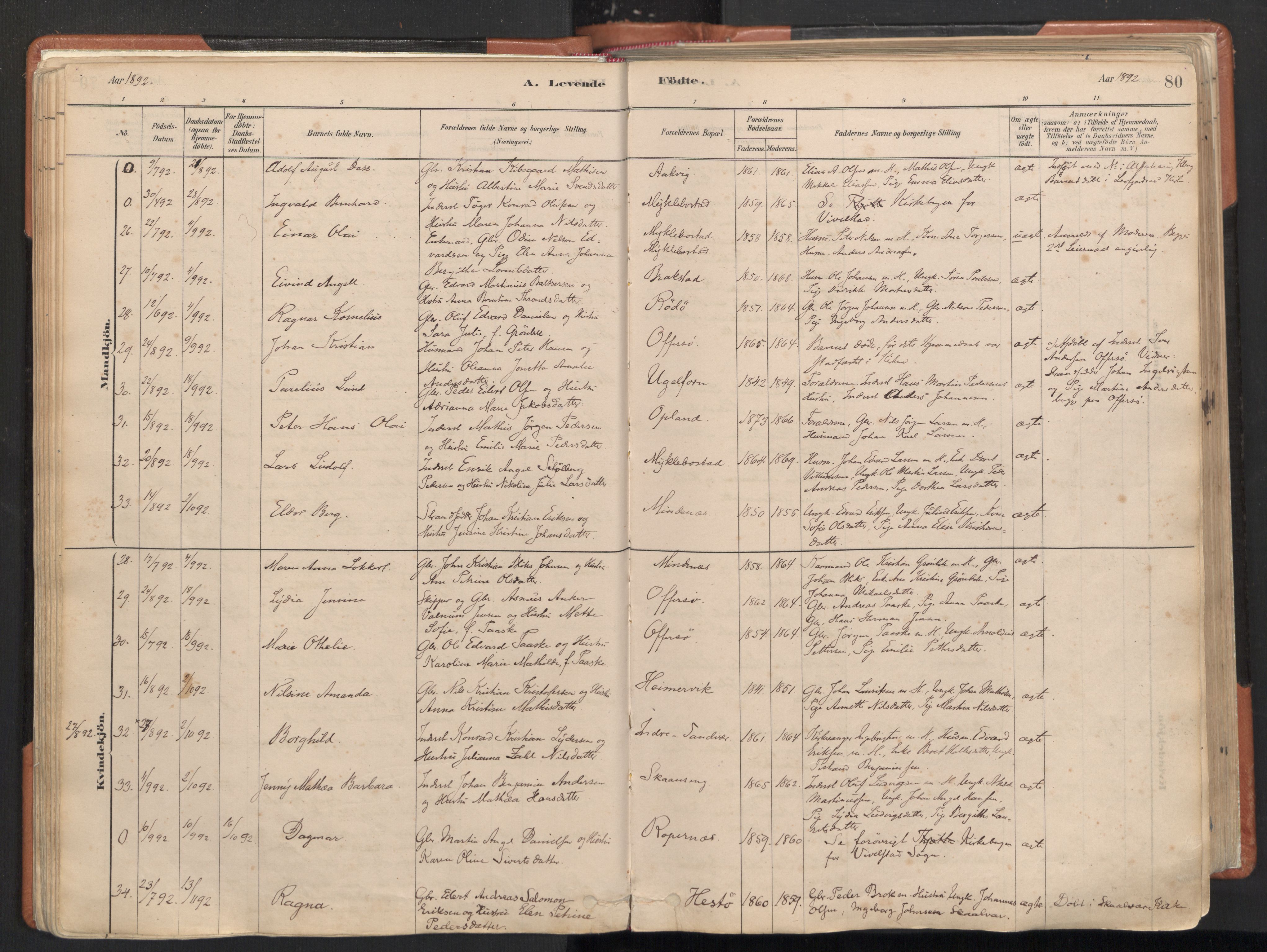 Ministerialprotokoller, klokkerbøker og fødselsregistre - Nordland, AV/SAT-A-1459/817/L0264: Parish register (official) no. 817A04, 1878-1907, p. 80