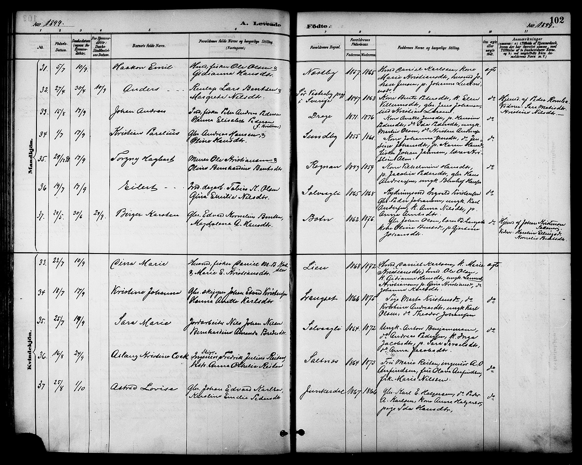 Ministerialprotokoller, klokkerbøker og fødselsregistre - Nordland, AV/SAT-A-1459/847/L0669: Parish register (official) no. 847A09, 1887-1901, p. 102