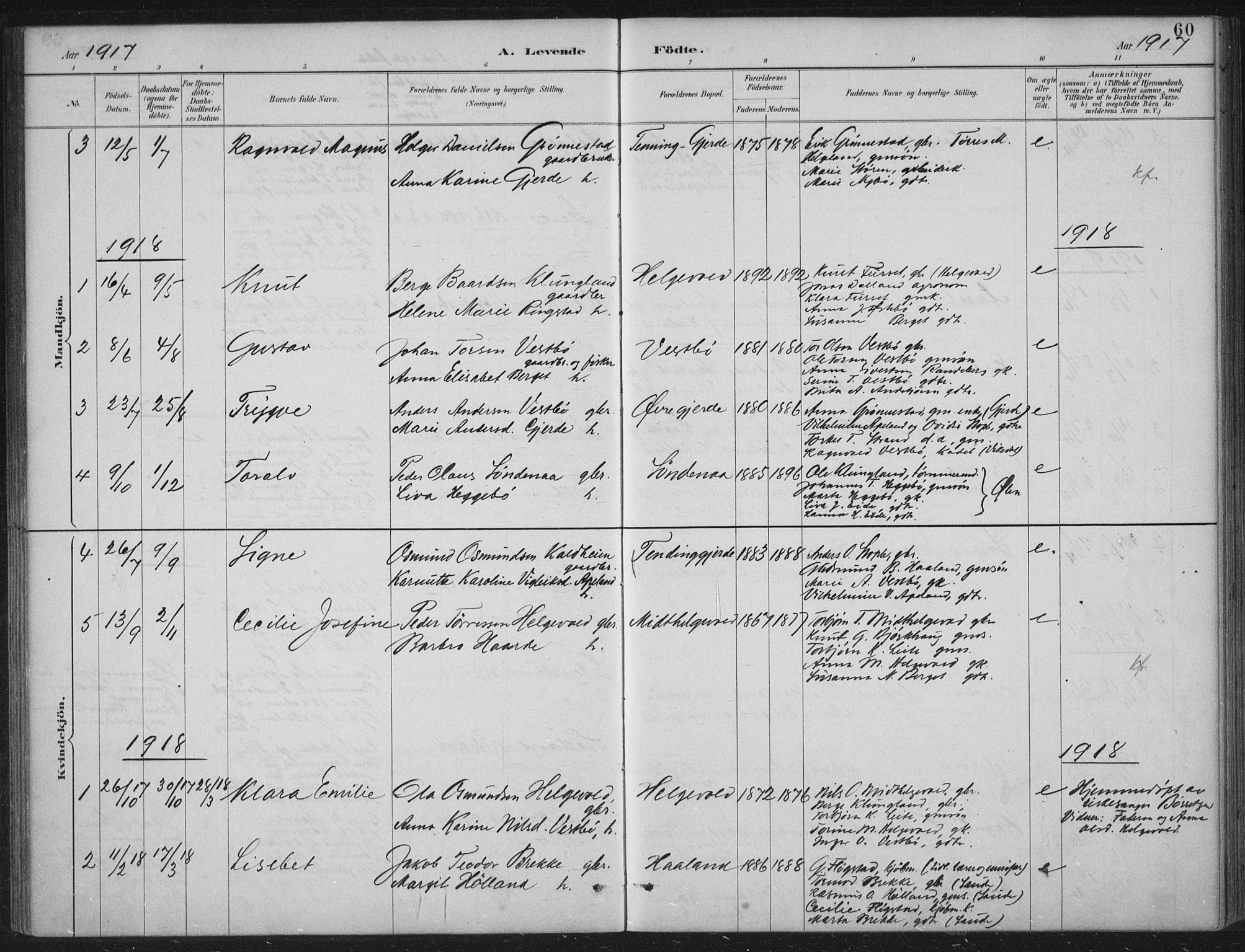 Vikedal sokneprestkontor, AV/SAST-A-101840/01/IV: Parish register (official) no. A 11, 1884-1933, p. 60