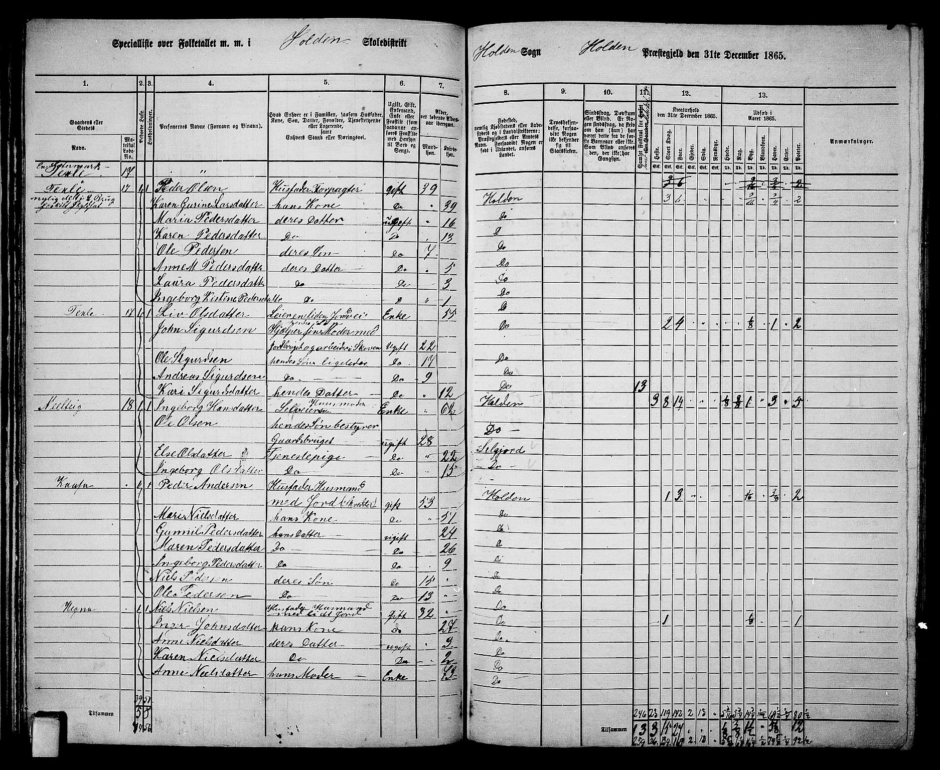 RA, 1865 census for Holla, 1865, p. 39