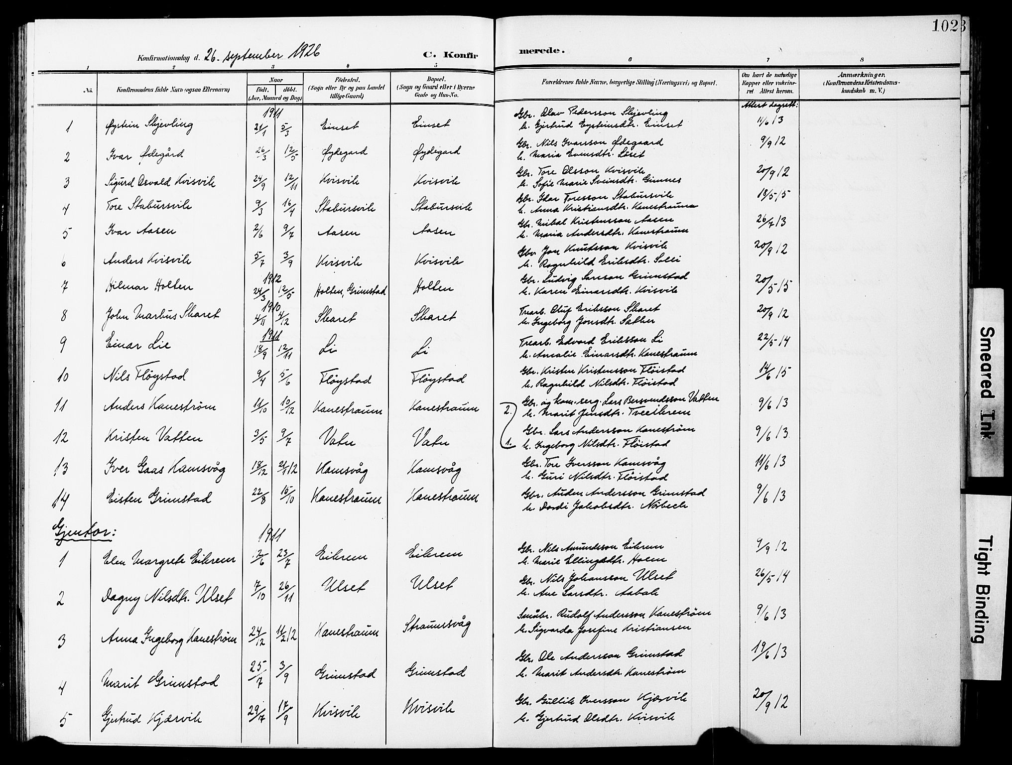 Ministerialprotokoller, klokkerbøker og fødselsregistre - Møre og Romsdal, AV/SAT-A-1454/587/L1001: Parish register (copy) no. 587C01, 1906-1927, p. 102