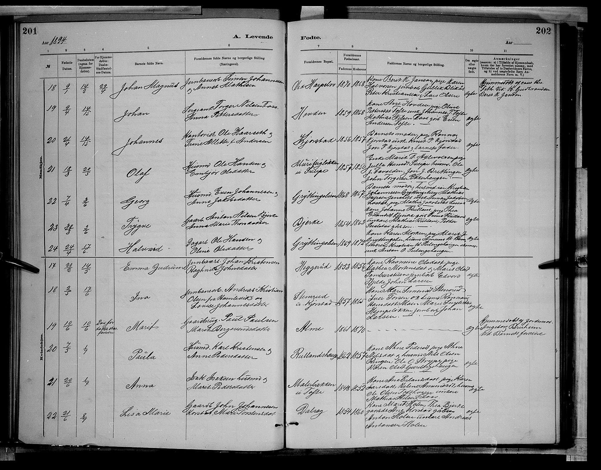 Sør-Fron prestekontor, AV/SAH-PREST-010/H/Ha/Hab/L0003: Parish register (copy) no. 3, 1884-1896, p. 201-202