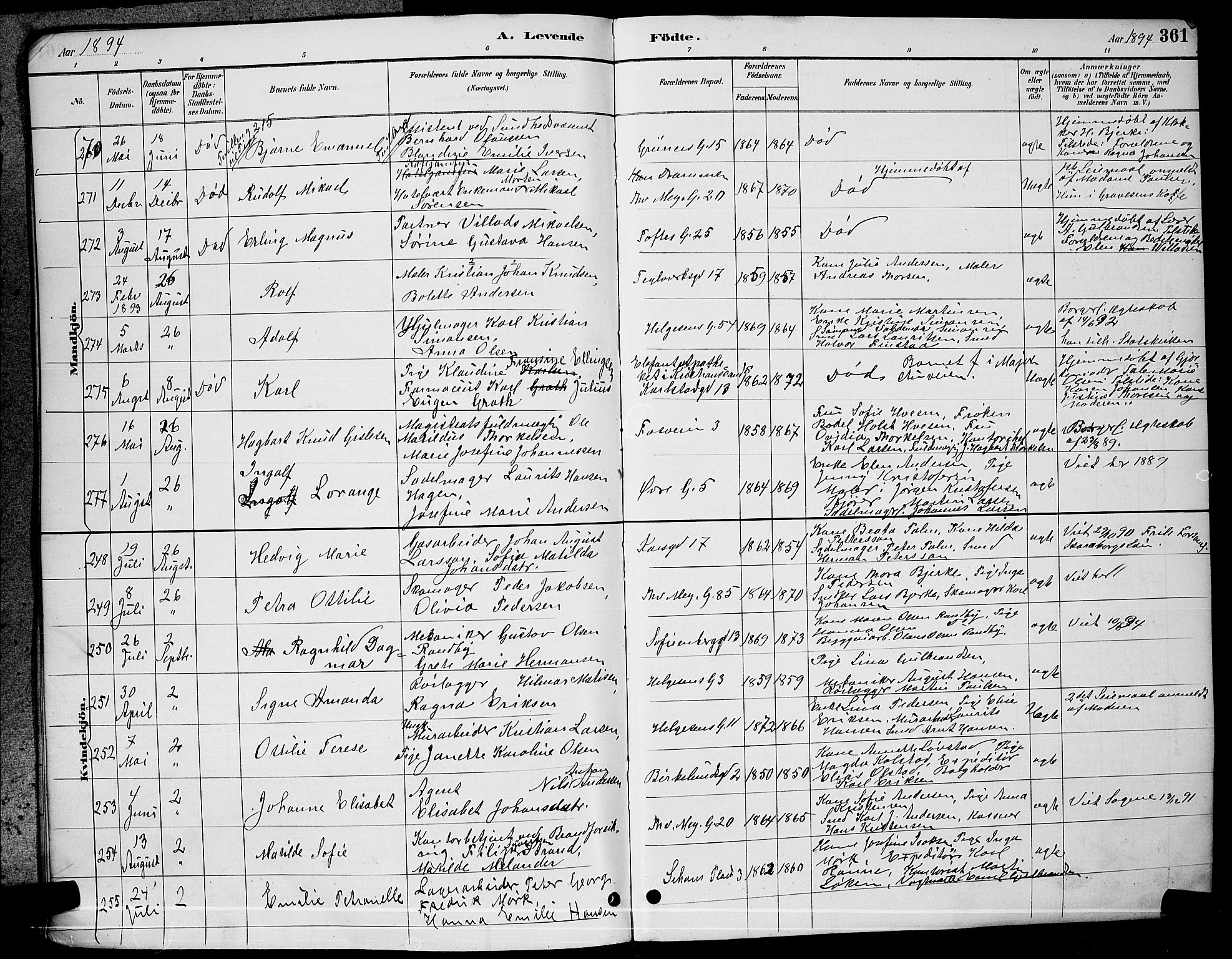 Paulus prestekontor Kirkebøker, AV/SAO-A-10871/G/Ga/L0003: Parish register (copy) no. 3, 1887-1895, p. 361