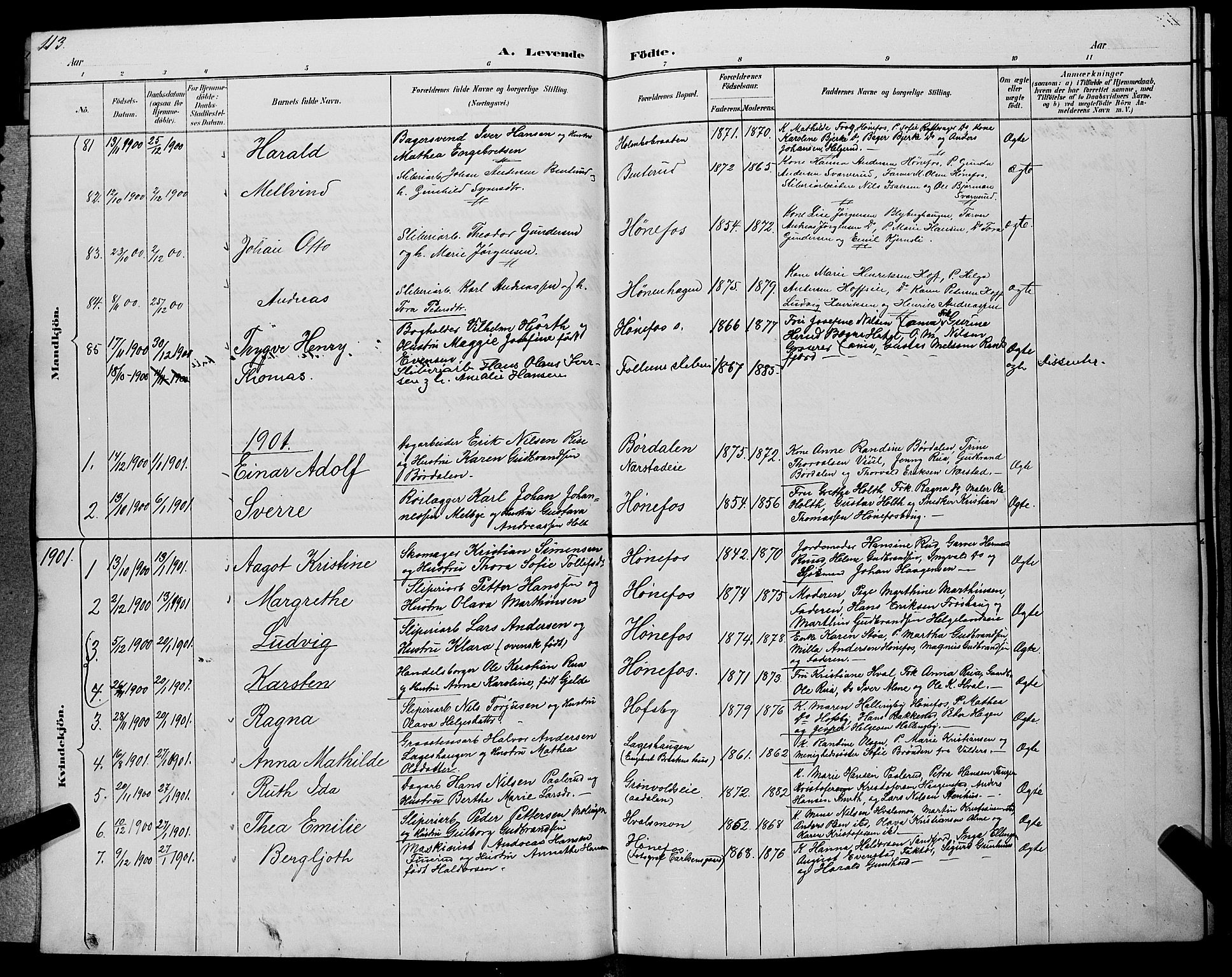 Hønefoss kirkebøker, SAKO/A-609/G/Ga/L0002: Parish register (copy) no. 2, 1888-1904, p. 113