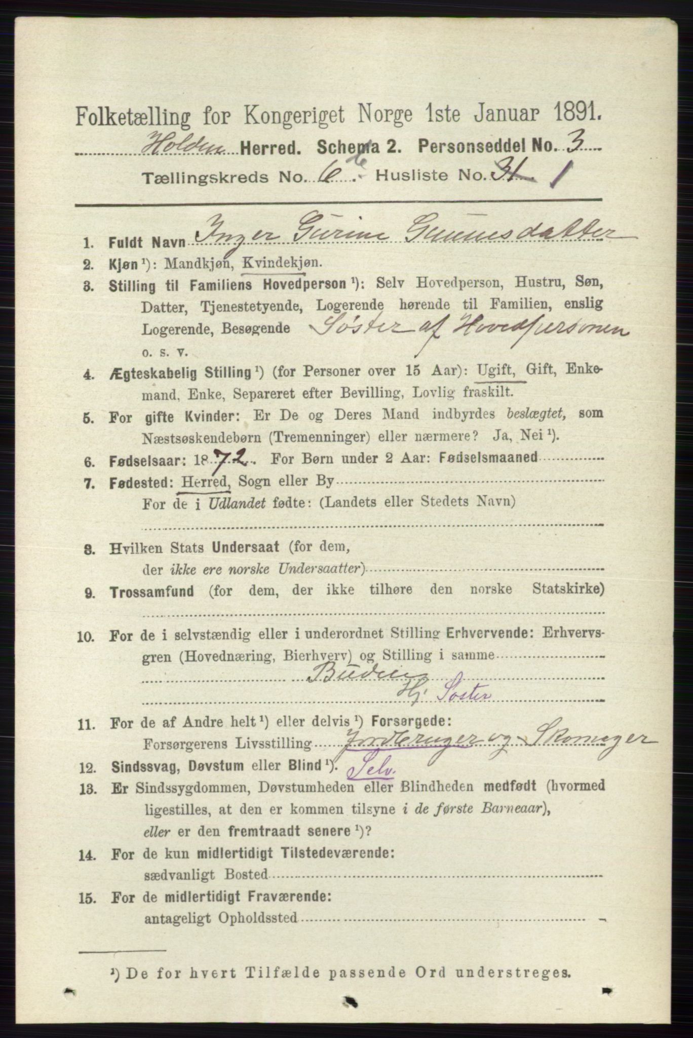 RA, 1891 census for 0819 Holla, 1891, p. 3173