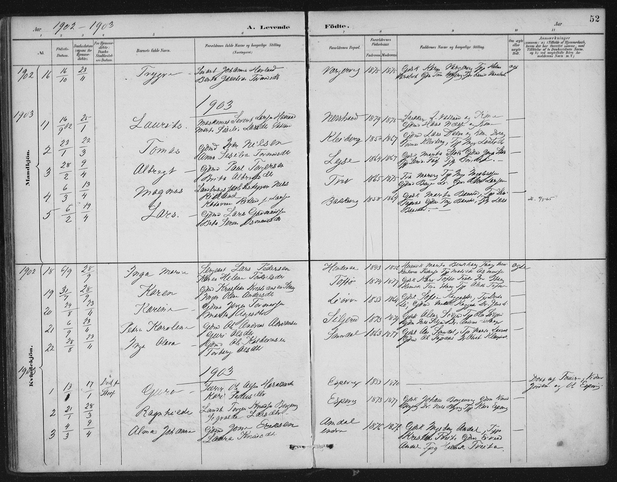 Nedstrand sokneprestkontor, SAST/A-101841/01/IV: Parish register (official) no. A 12, 1887-1915, p. 52