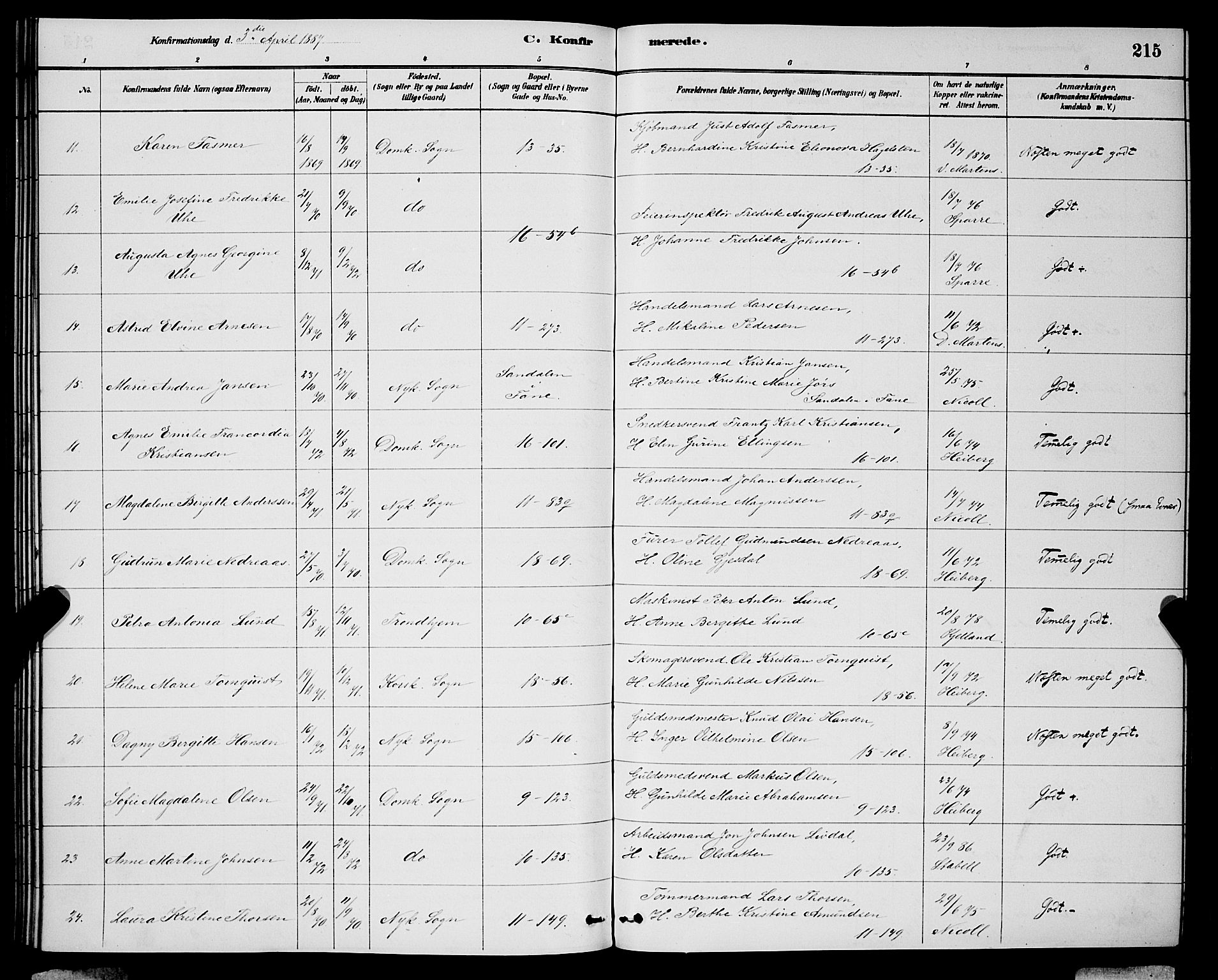 Domkirken sokneprestembete, SAB/A-74801/H/Hab/L0024: Parish register (copy) no. C 4, 1880-1899, p. 215