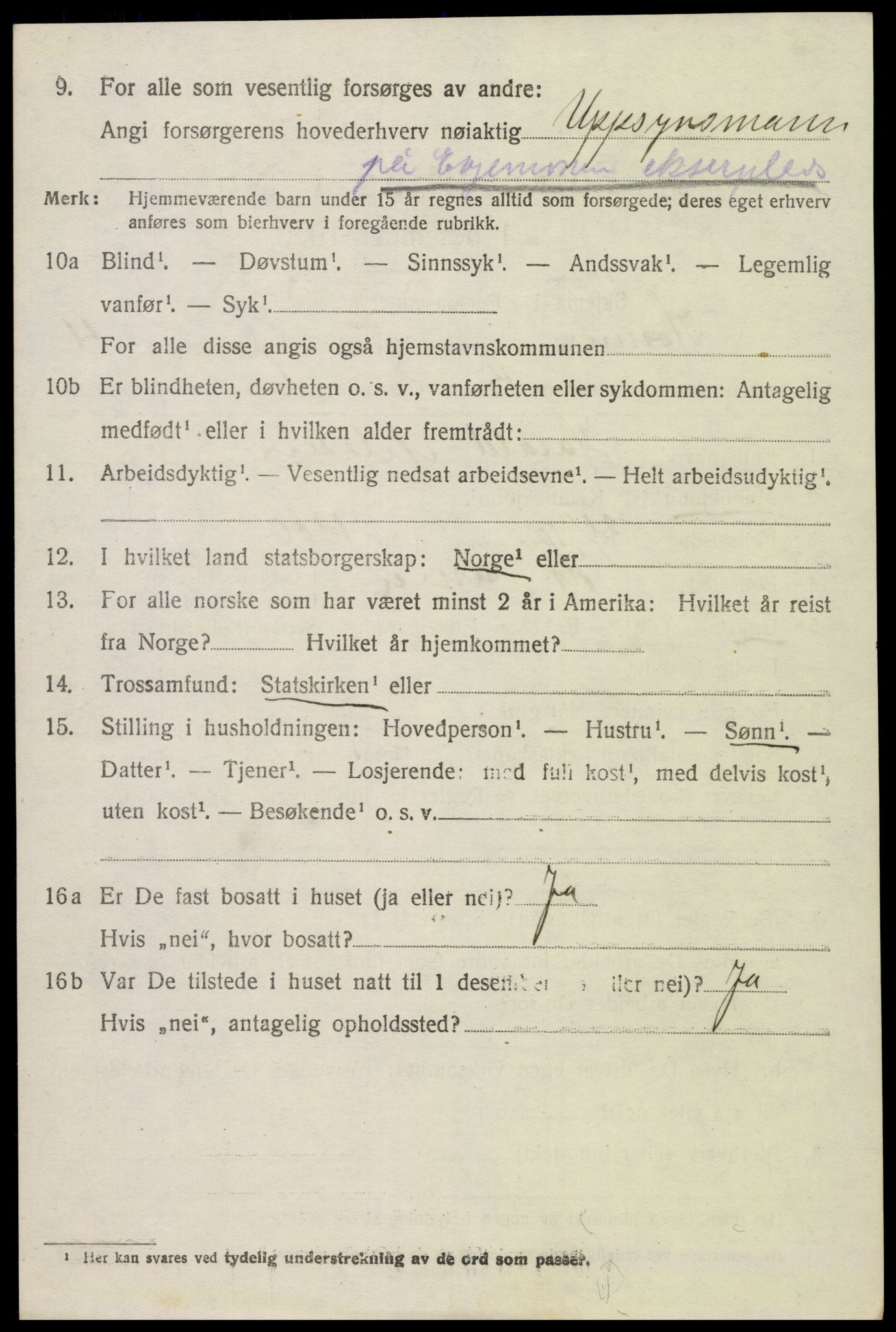 SAK, 1920 census for Hornnes, 1920, p. 1330