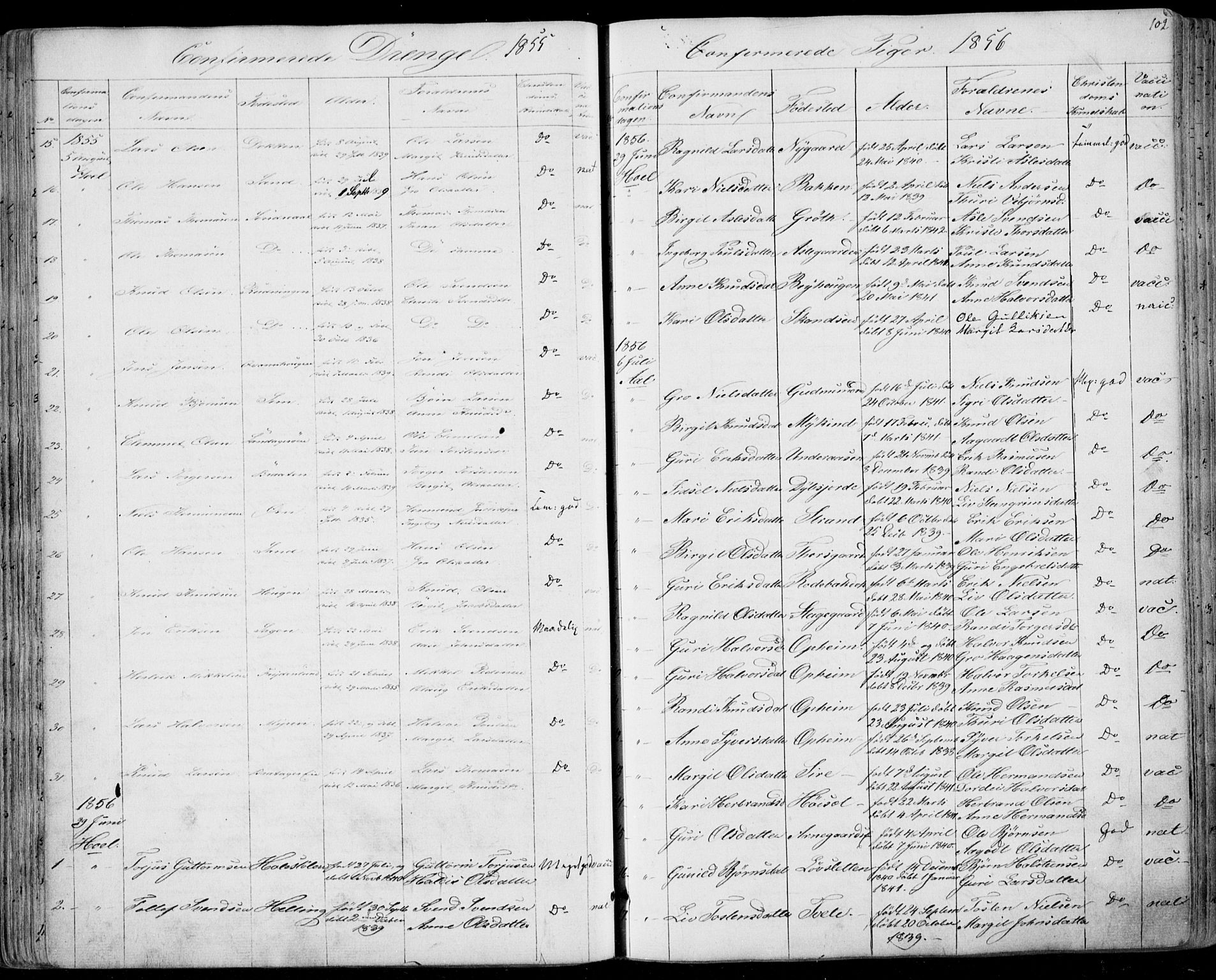Ål kirkebøker, SAKO/A-249/F/Fa/L0006: Parish register (official) no. I 6, 1849-1864, p. 102