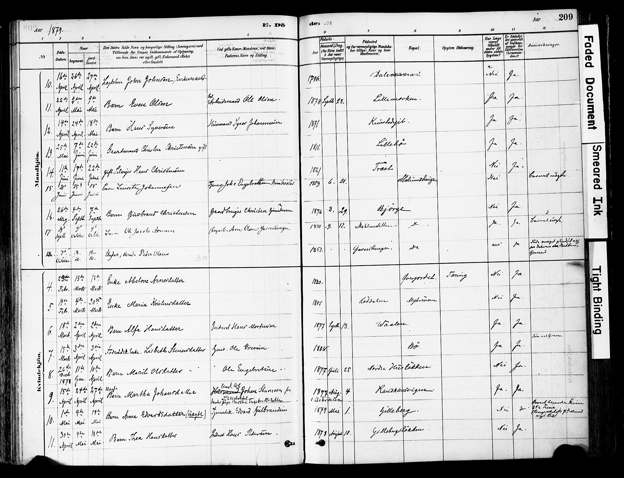 Ringebu prestekontor, AV/SAH-PREST-082/H/Ha/Haa/L0008: Parish register (official) no. 8, 1878-1898, p. 209