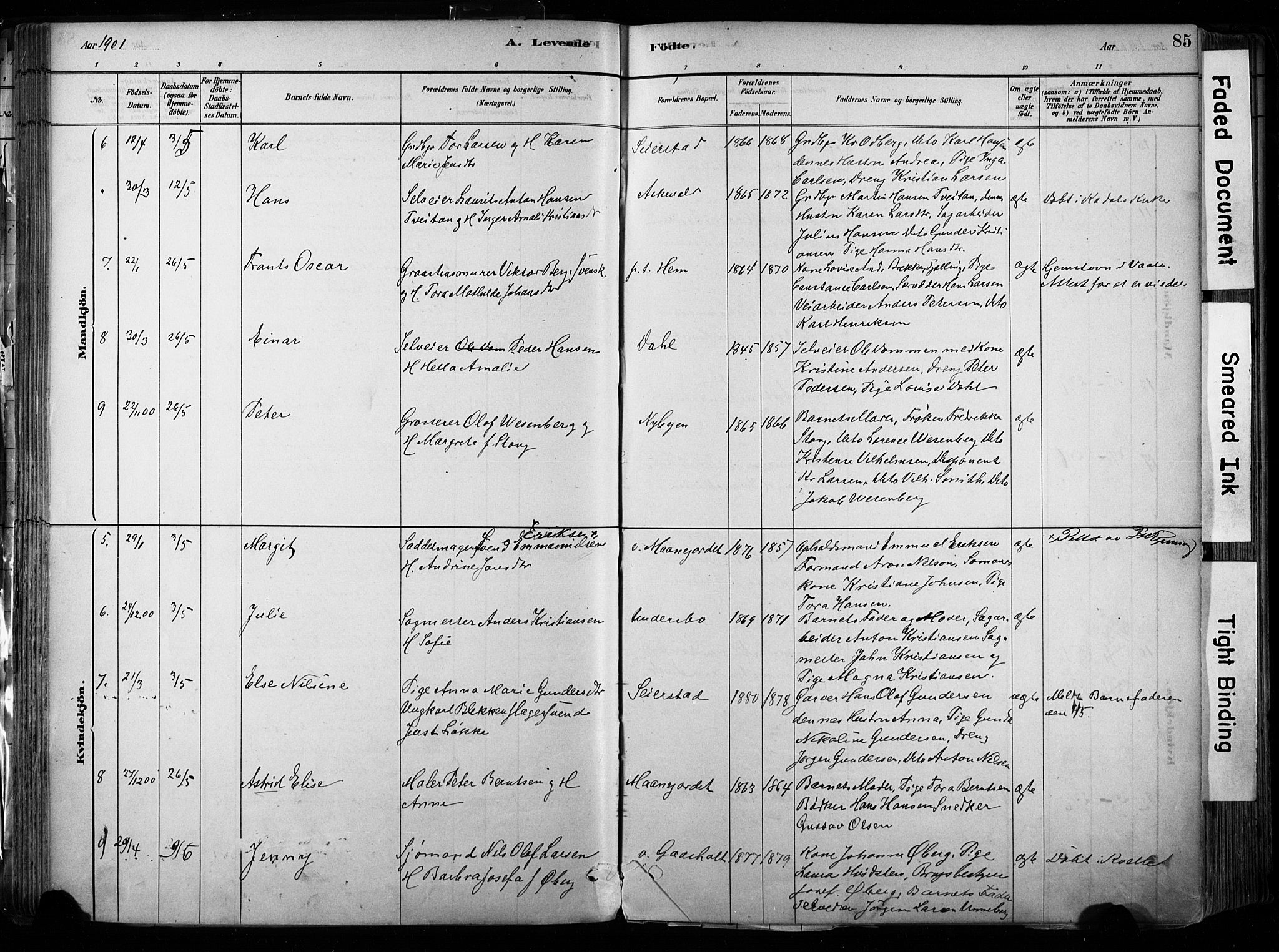 Hedrum kirkebøker, AV/SAKO-A-344/F/Fa/L0009: Parish register (official) no. I 9, 1881-1903, p. 85