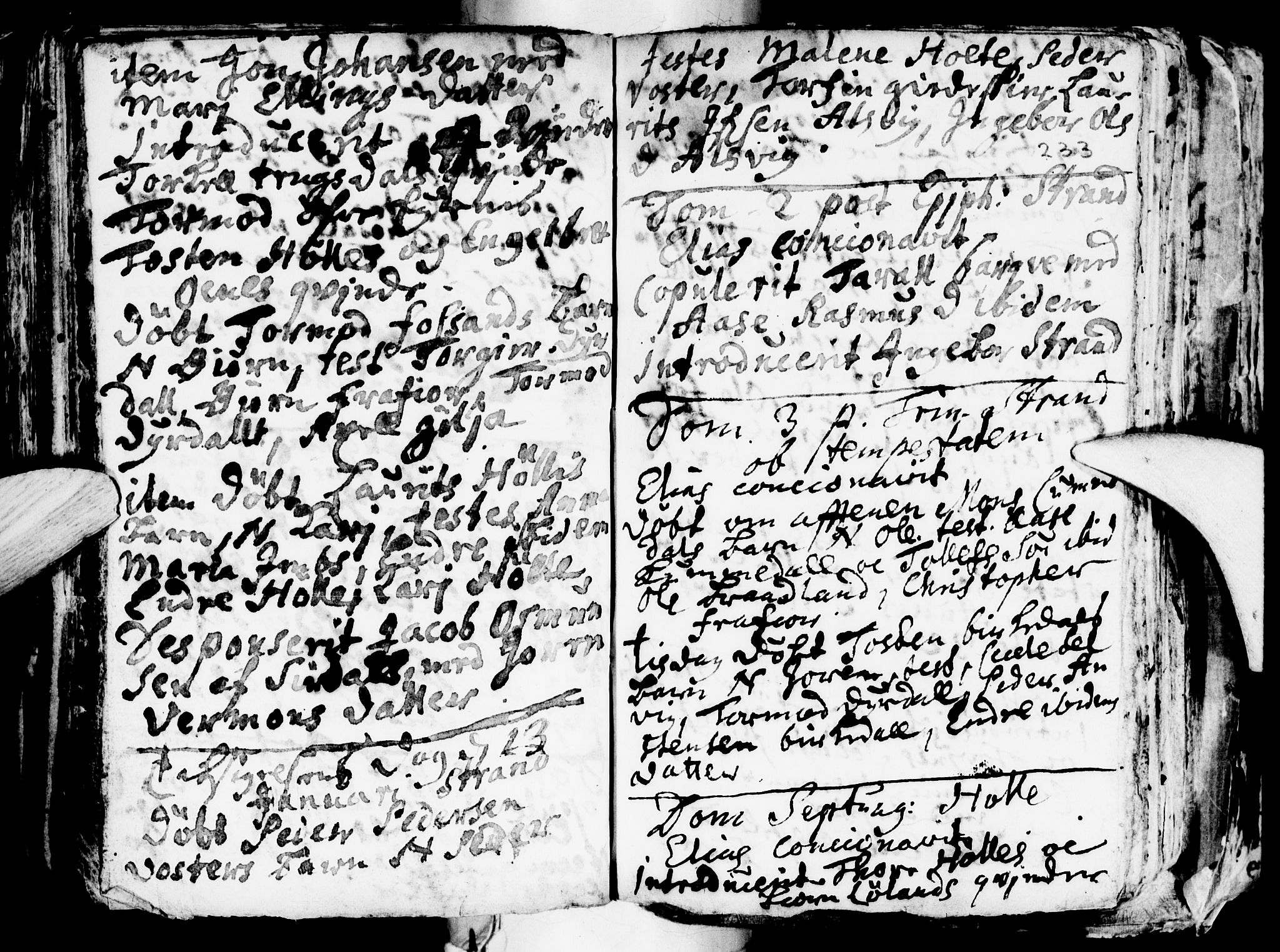 Strand sokneprestkontor, SAST/A-101828/H/Ha/Haa/L0001: Parish register (official) no. A 1, 1702-1745, p. 233