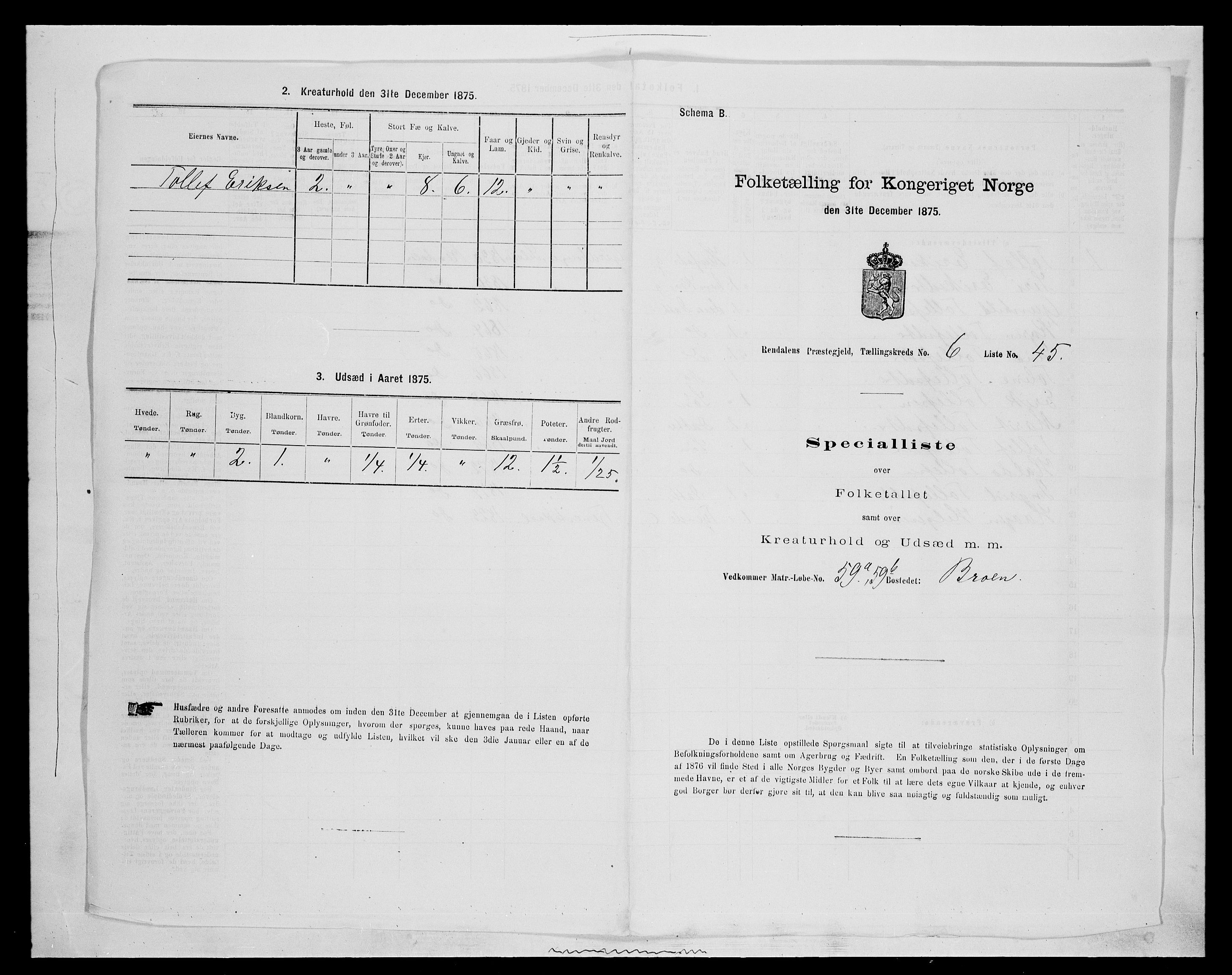 SAH, 1875 census for 0432P Rendalen, 1875, p. 589