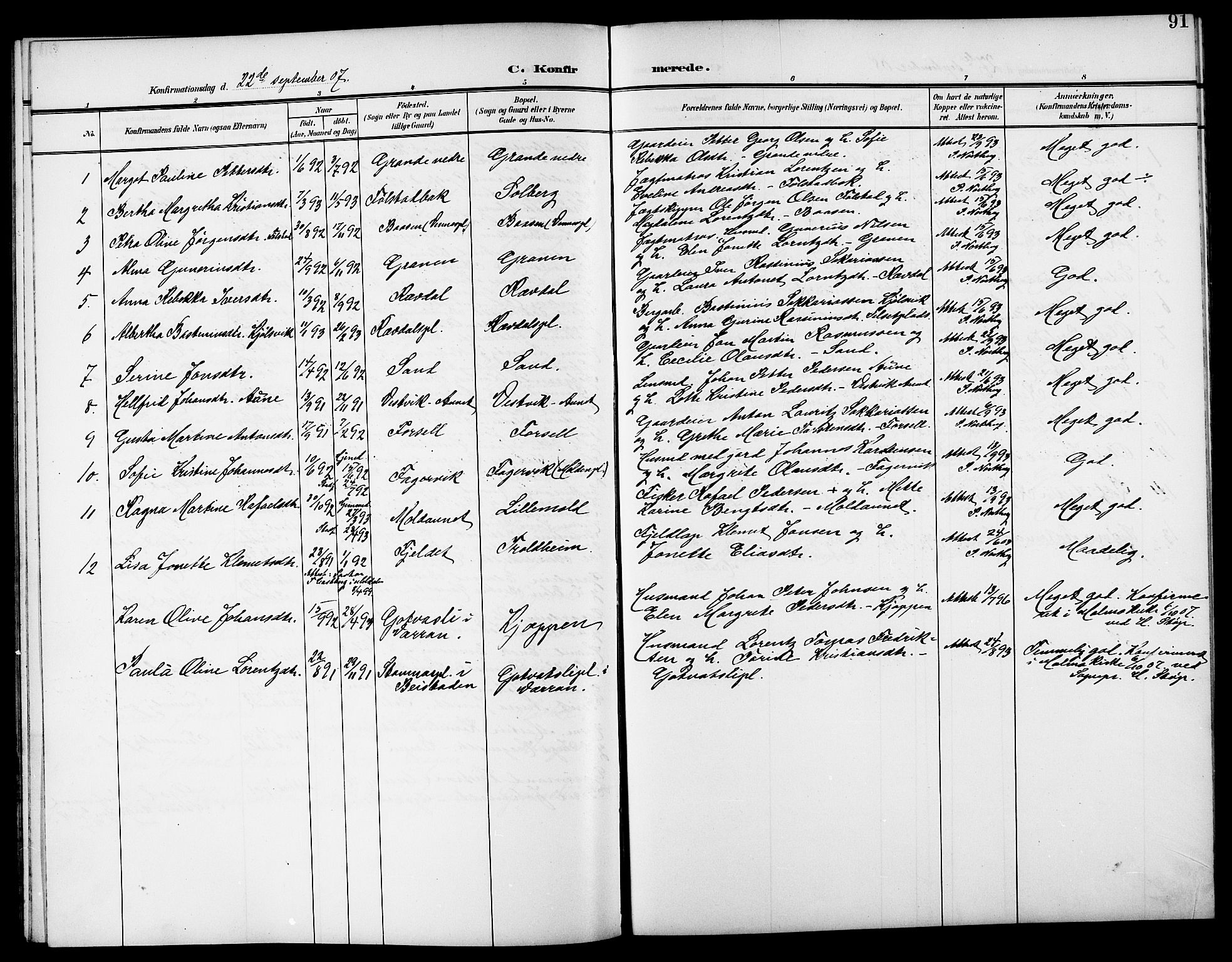 Ministerialprotokoller, klokkerbøker og fødselsregistre - Nord-Trøndelag, SAT/A-1458/744/L0424: Parish register (copy) no. 744C03, 1906-1923, p. 91