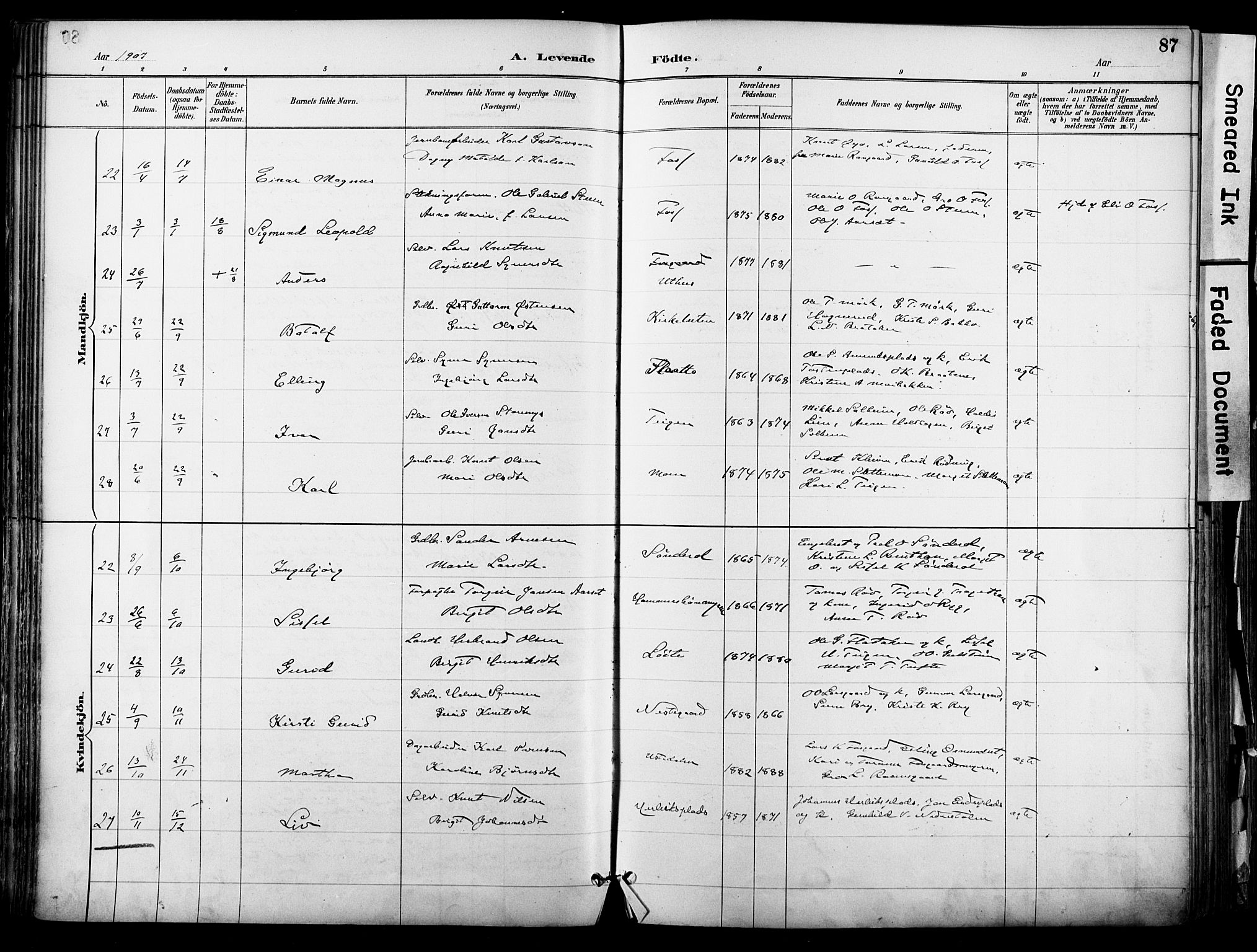 Hol kirkebøker, SAKO/A-227/F/Fa/L0003: Parish register (official) no. I 3, 1887-1918, p. 87