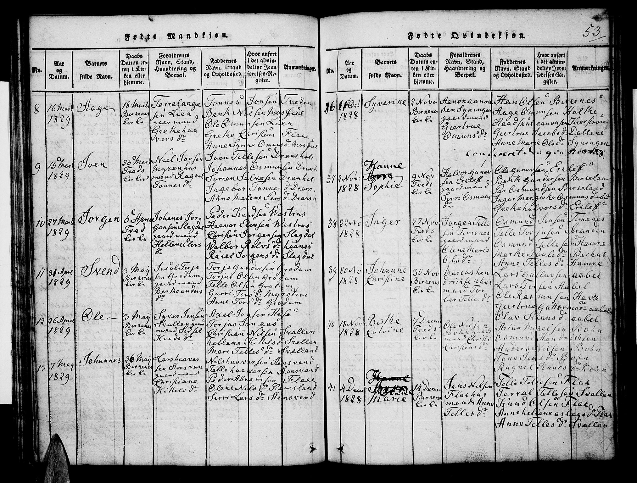 Tveit sokneprestkontor, AV/SAK-1111-0043/F/Fb/L0001: Parish register (copy) no. B 1, 1820-1834, p. 53