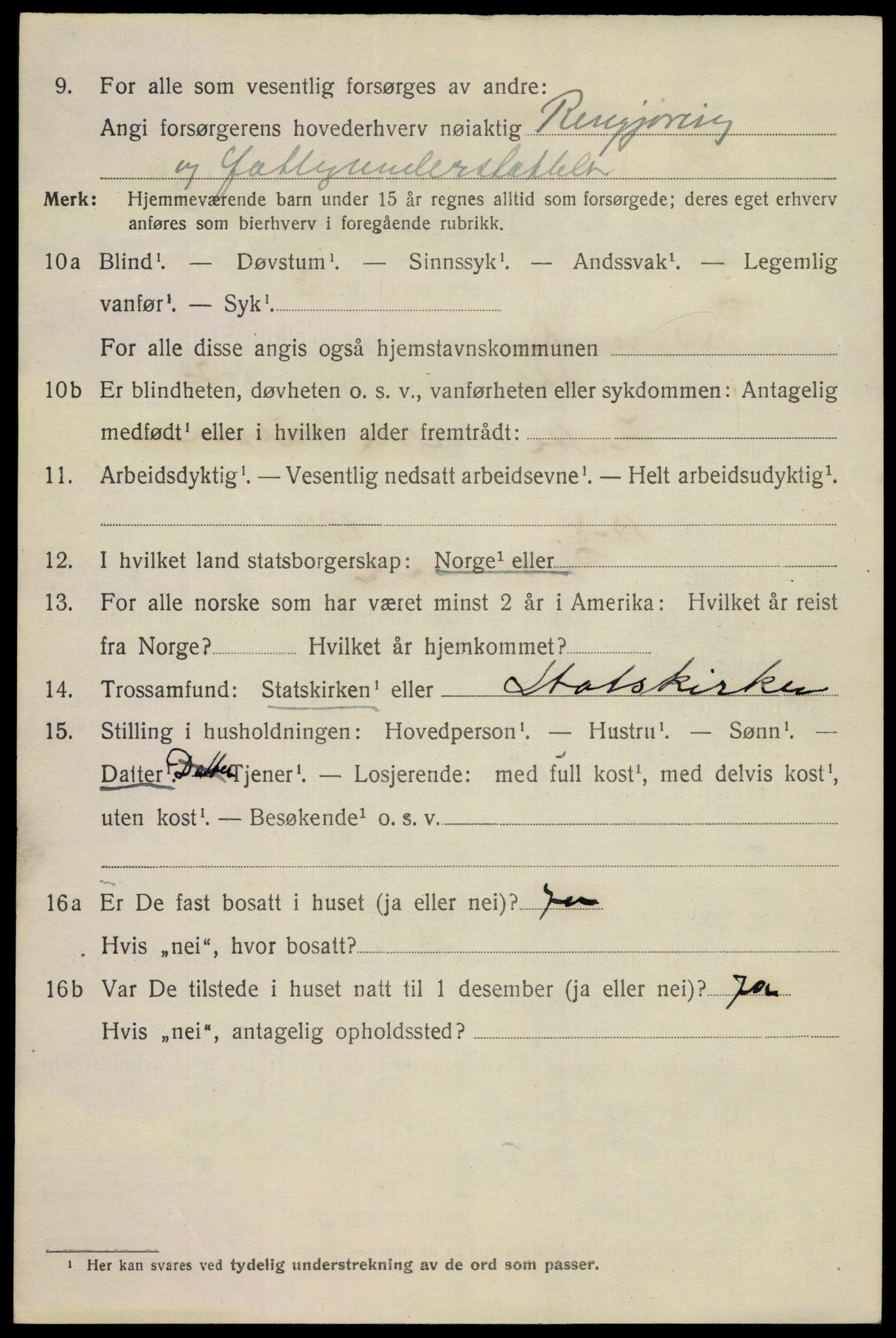 SAKO, 1920 census for Porsgrunn, 1920, p. 21538