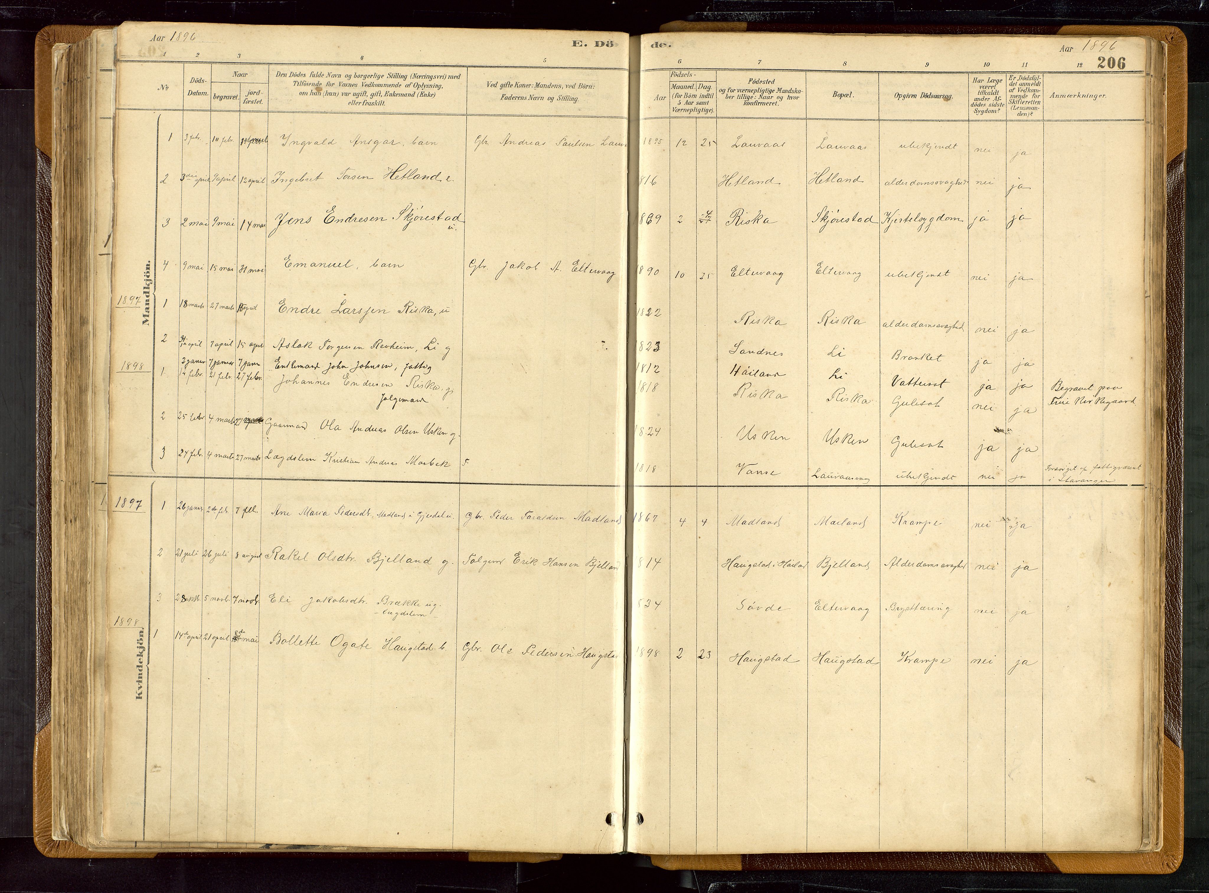 Hetland sokneprestkontor, SAST/A-101826/30/30BB/L0007: Parish register (copy) no. B 7, 1878-1910, p. 206
