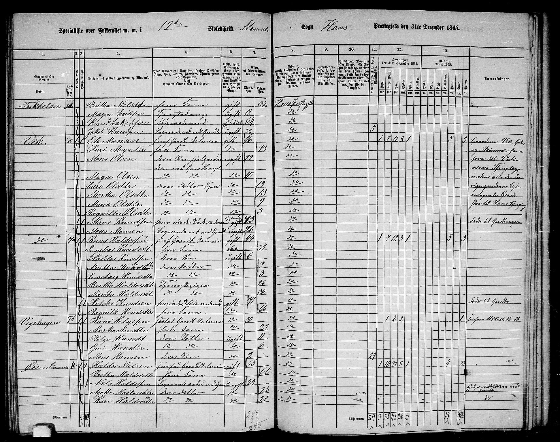 RA, 1865 census for Haus, 1865, p. 241
